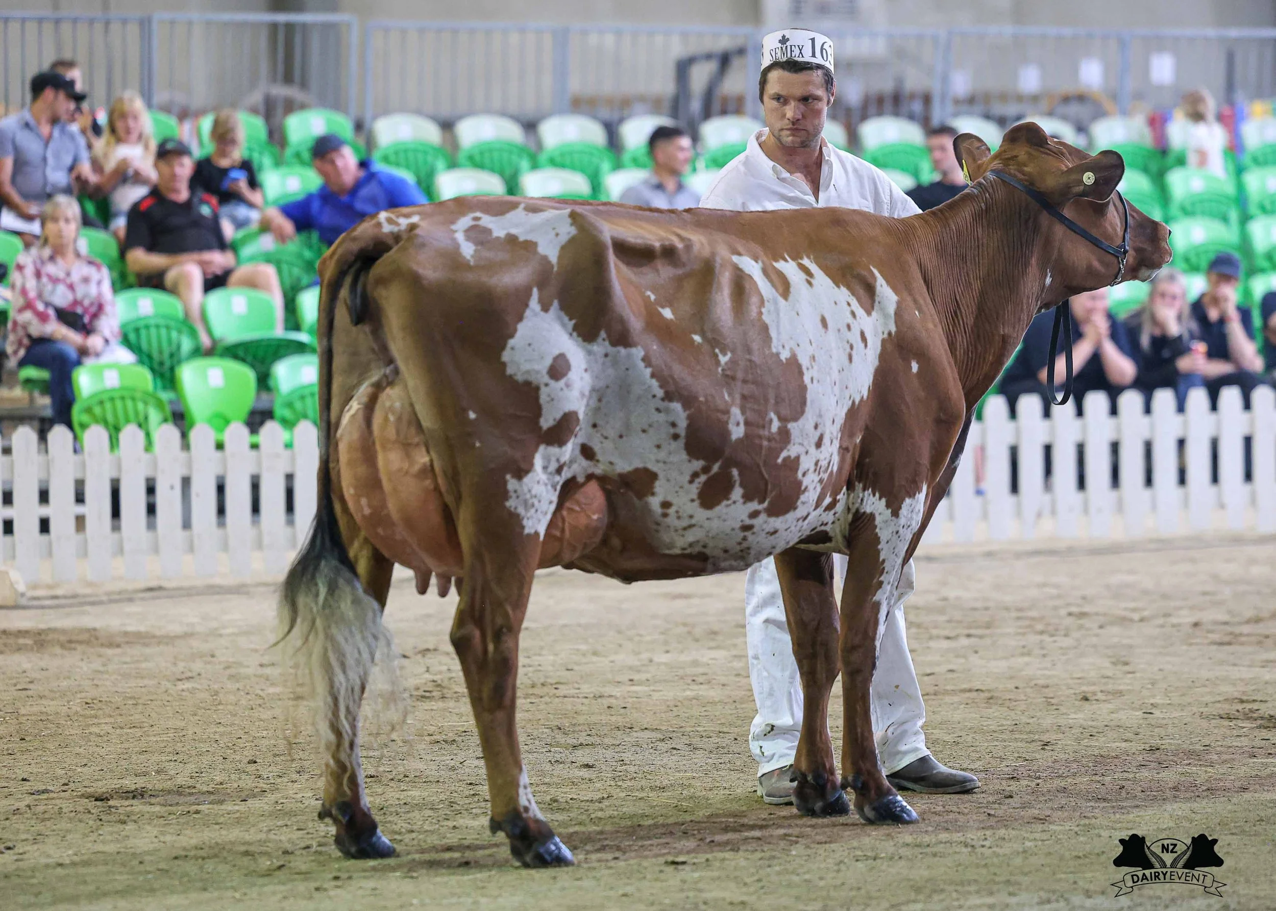 NZDE 2026_Ayr Intermediate Champion.jpg
