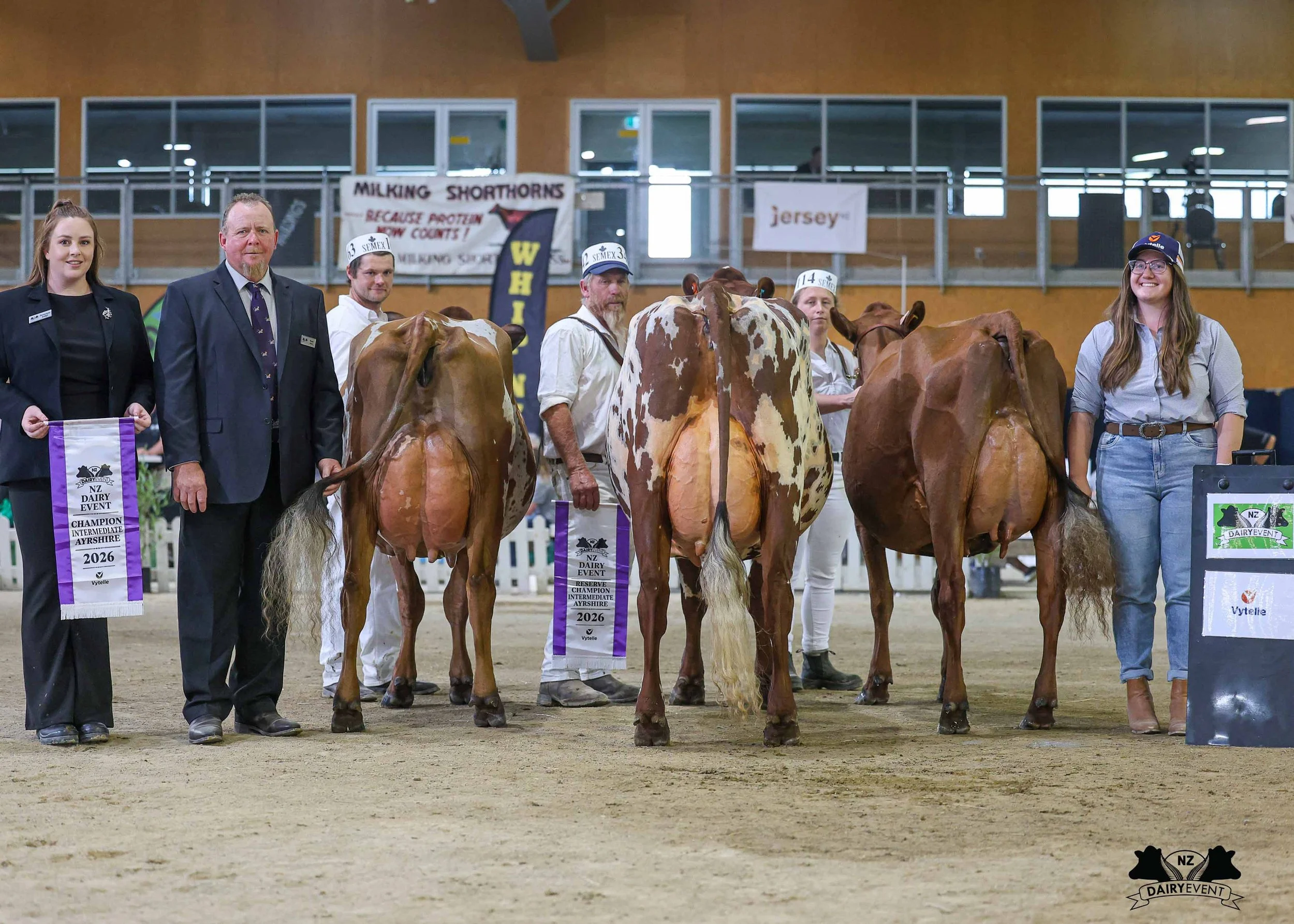 NZDE 2026_AYR_INT_CHAMPION Rear.jpg