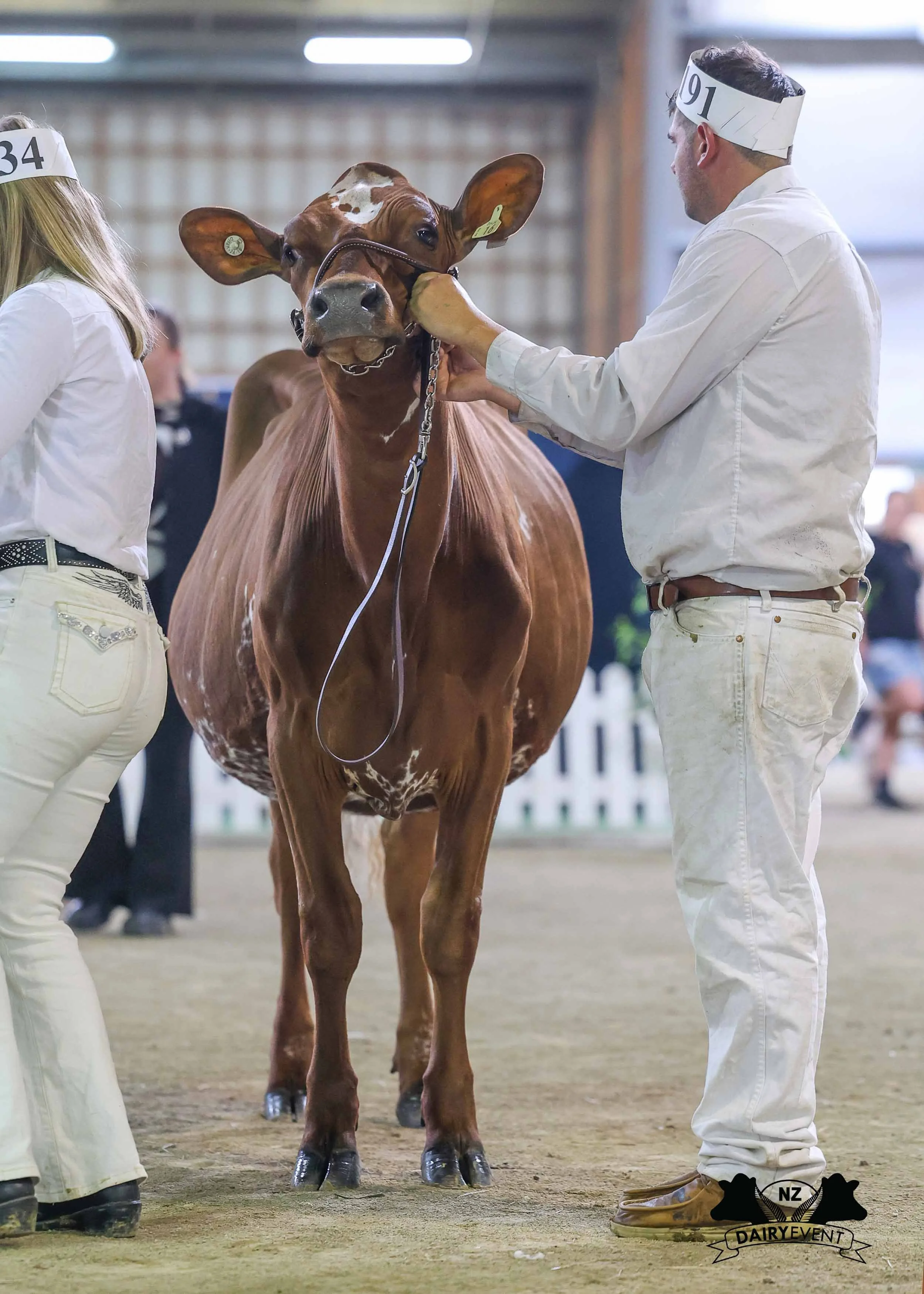 NZDE 2026_Ayr_JC.jpg