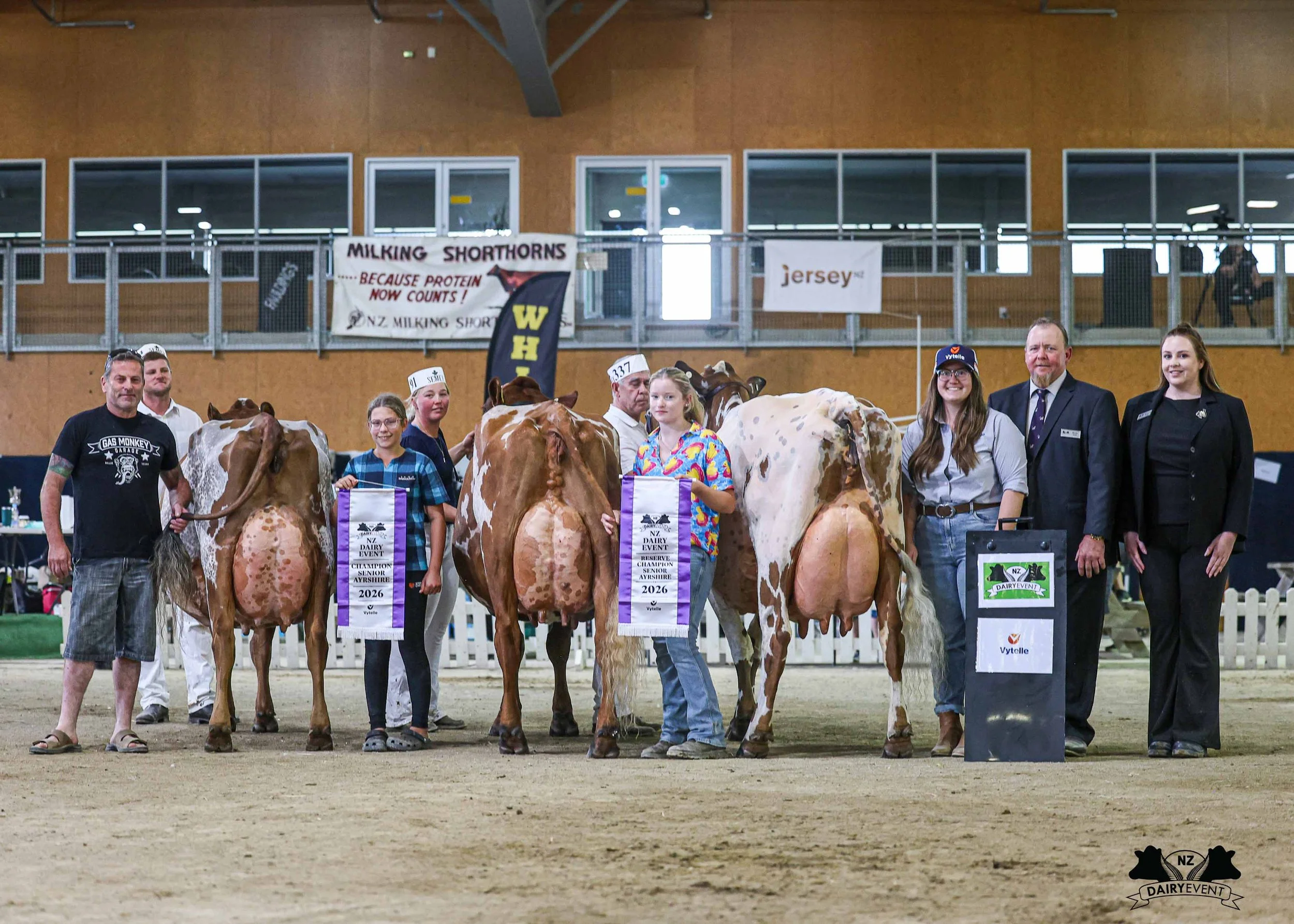 NZDE 2026_AYRSHIRES_banners.jpg