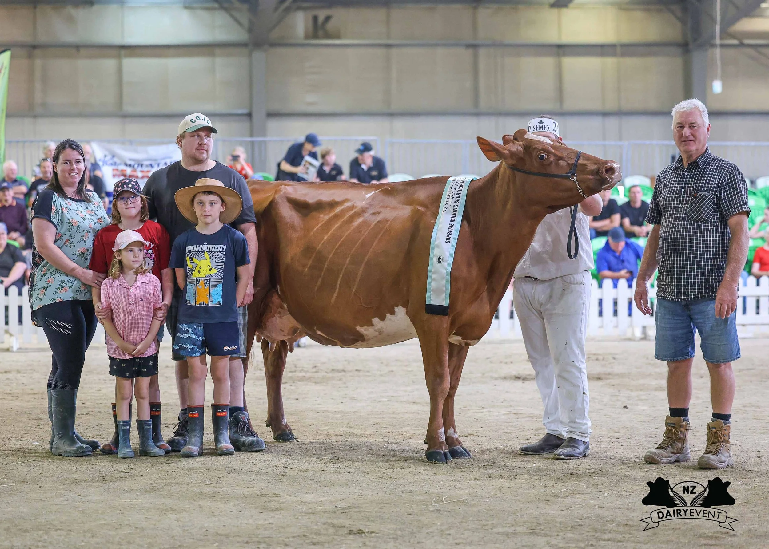 NZDE 2026_CombinedBreeds_BannerFrontFamily_Shorthorn.jpg