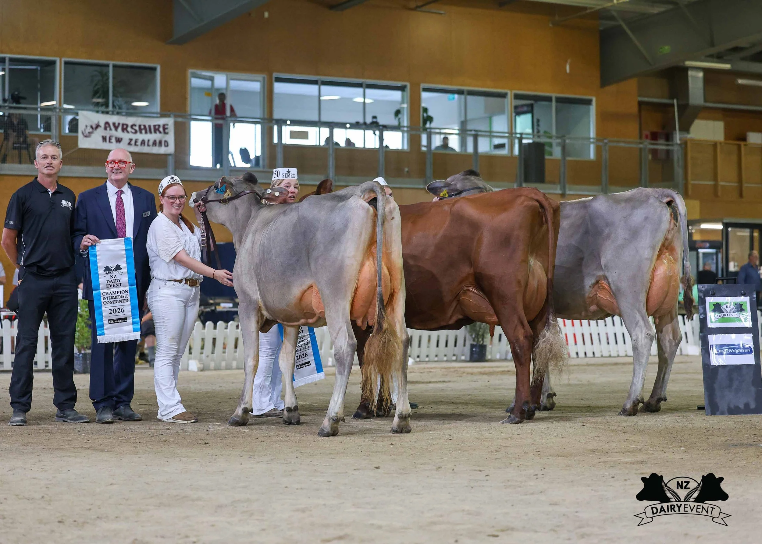 NZDE 2026_CombinedBreeds_Intermediate three quarter rear.jpg