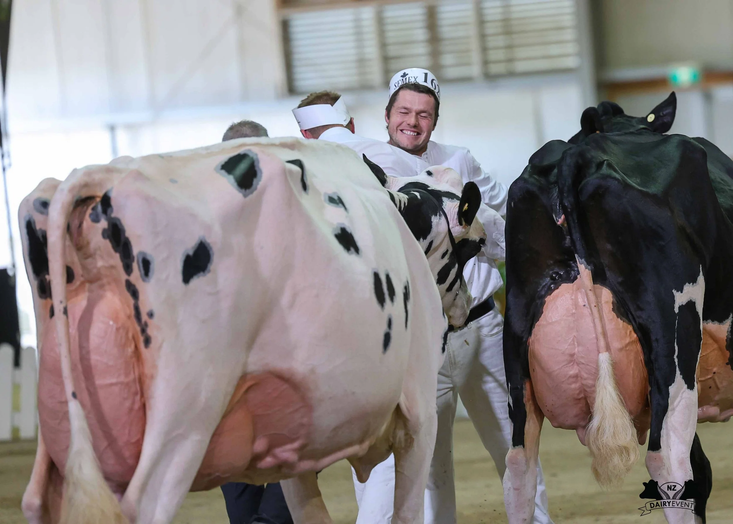 NZDE 2026_HOLS senior CHAMPION.jpg