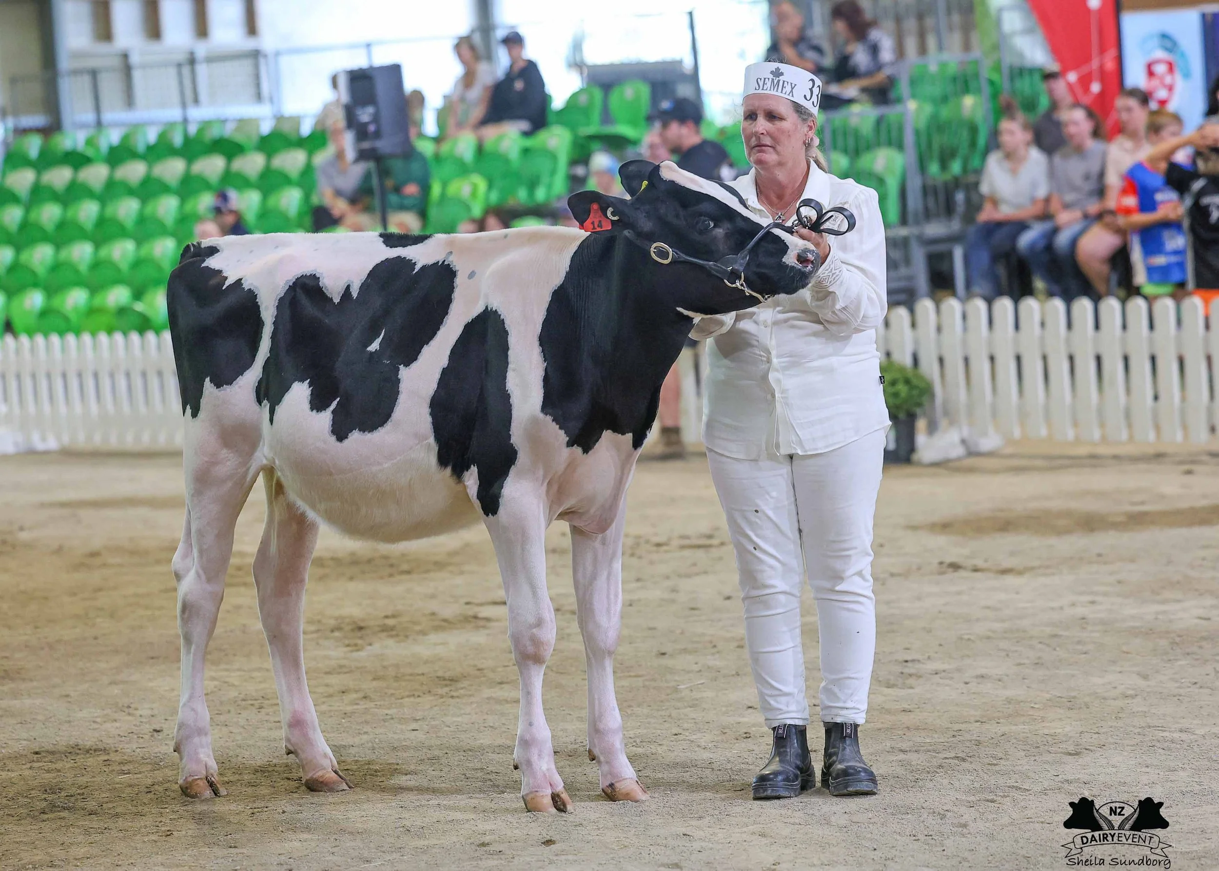 NZDE 2026_Supreme CHAMPION HEIFER.jpg