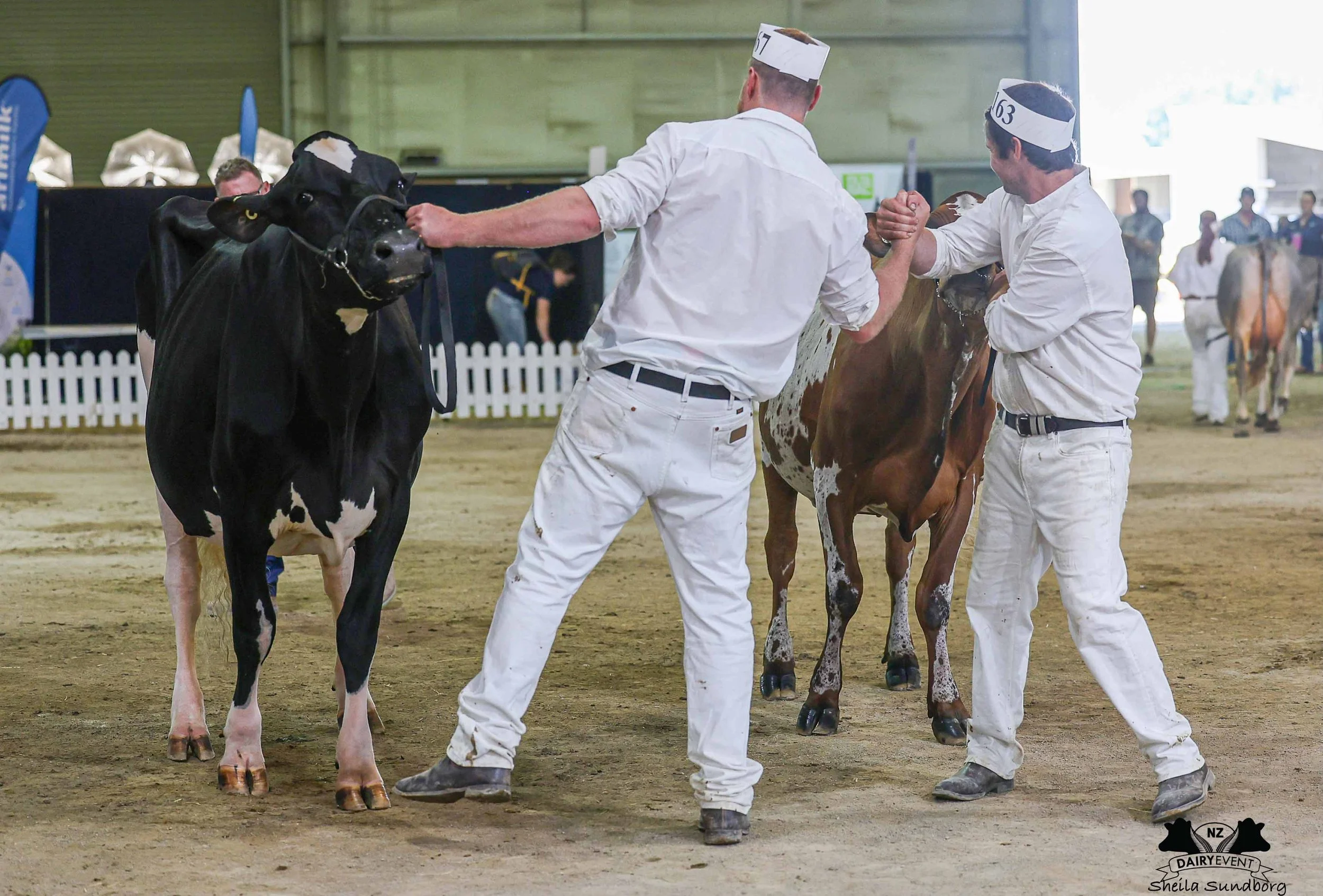 NZDE 2026_Supreme INT CHAMPION.jpg