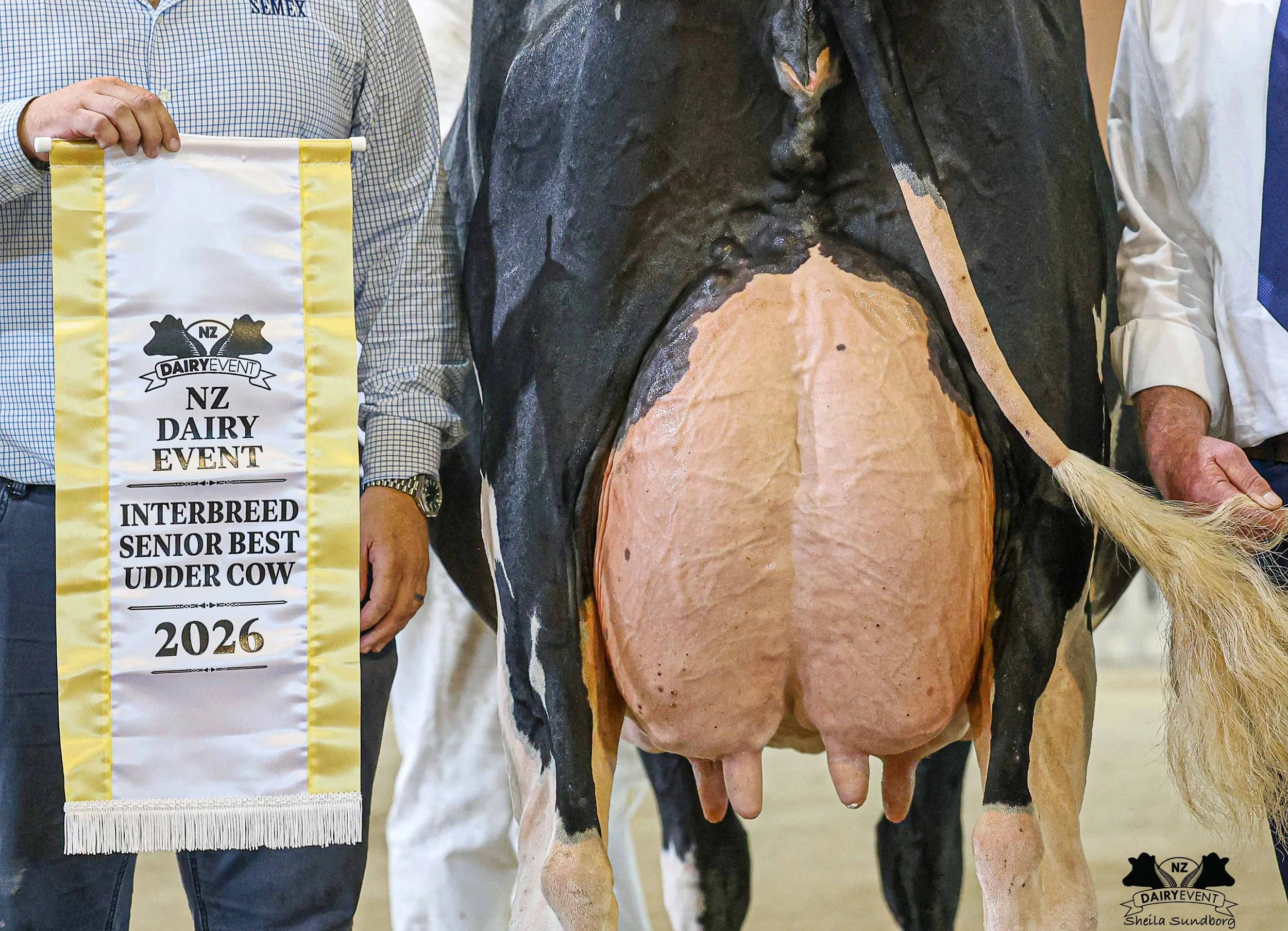 NZDe 2026_Supreme Senior Best Udder.jpg