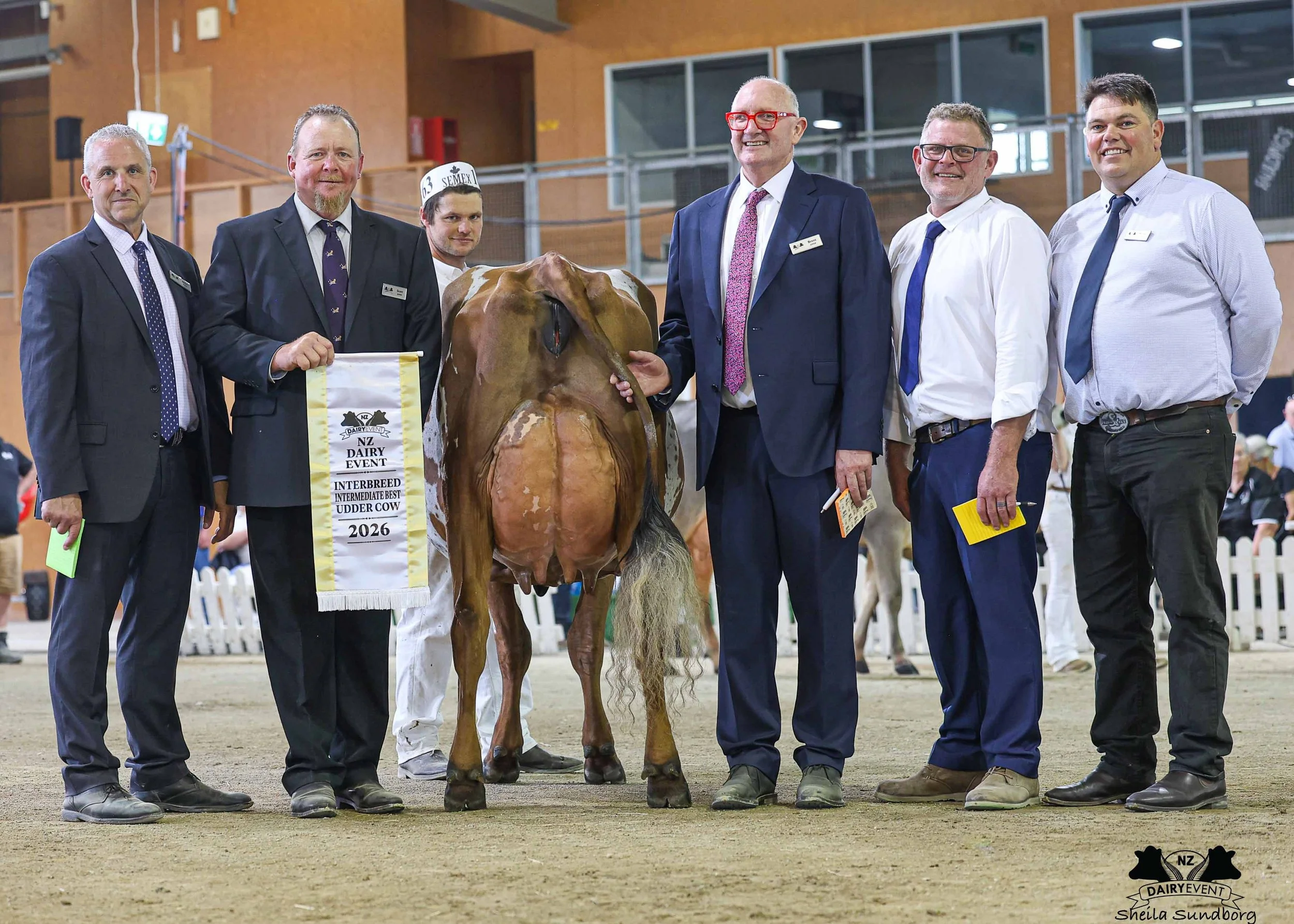 NZDE 2026_Supreme_Intermediate_Best_Udder_.jpg