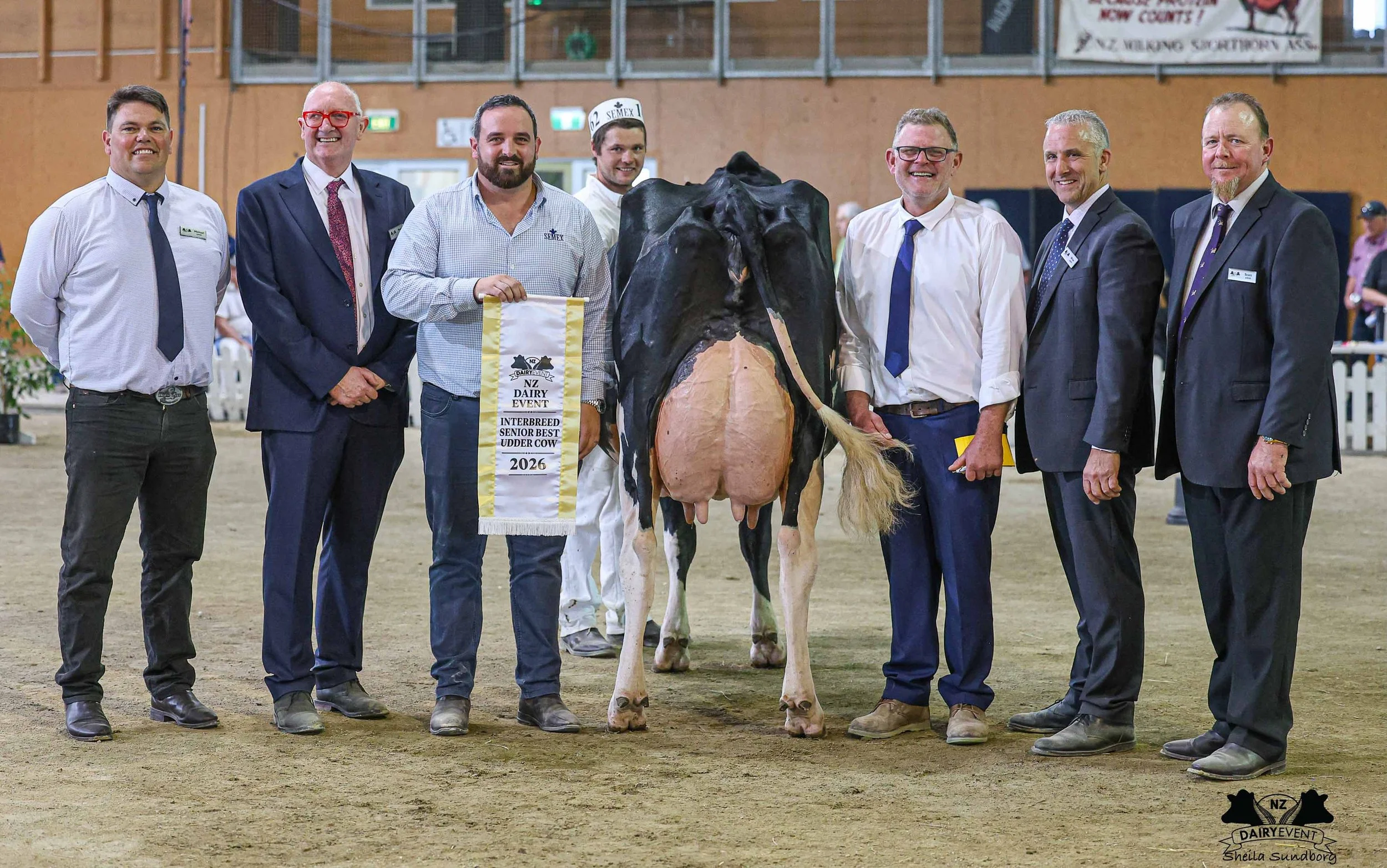 NZDE 2026_Supreme_Senior Best udder_Cow.jpg