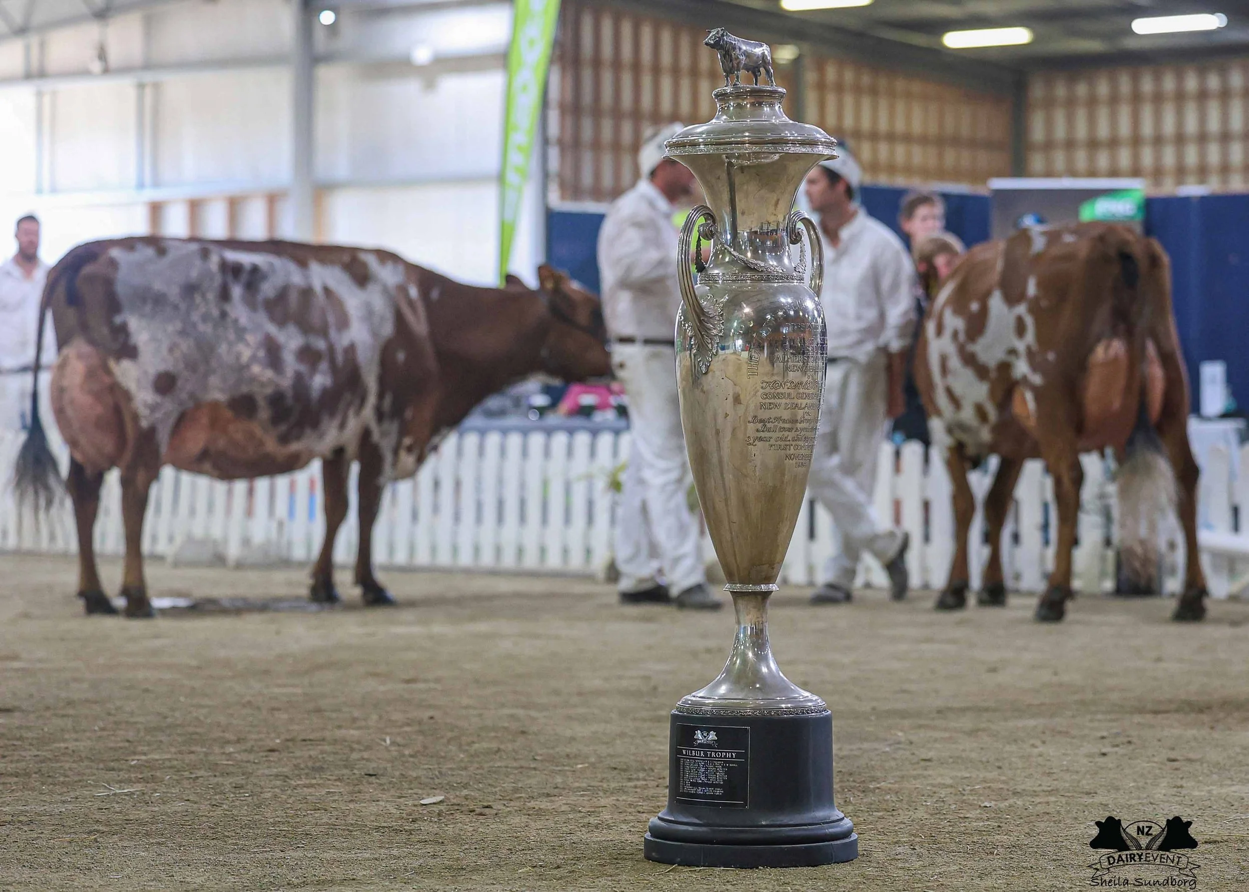 NZDE 2026_Supreme_TROPHY.jpg