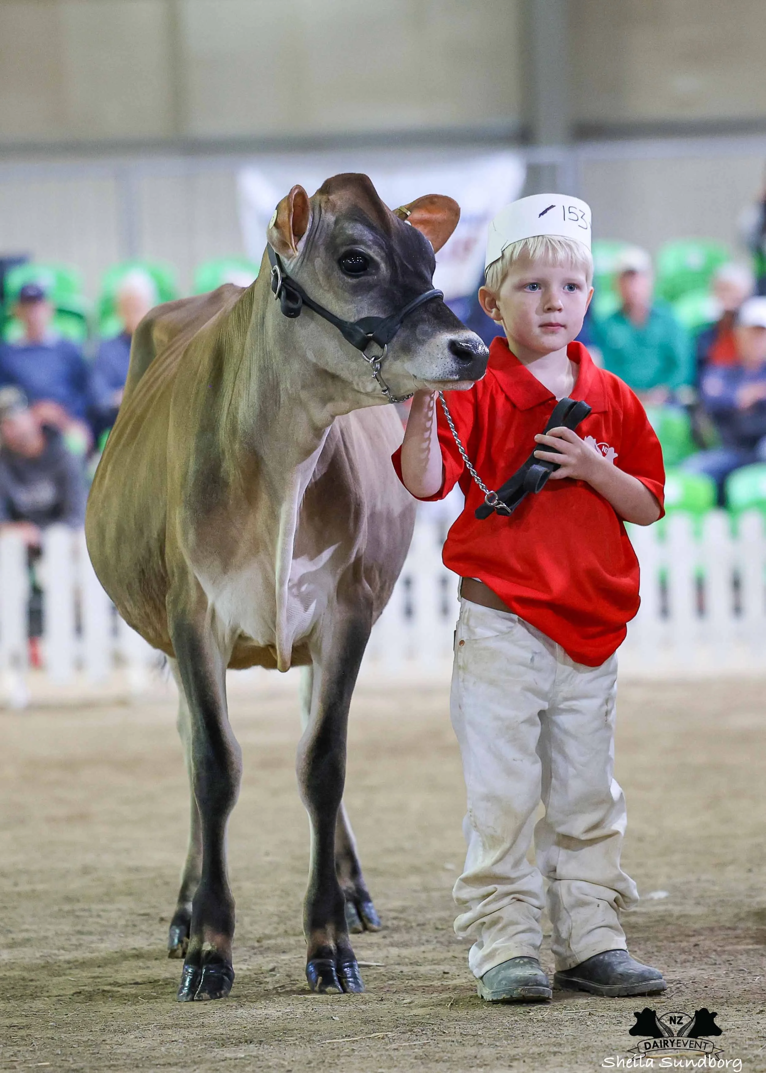 NZDE 2026_TomGilbert.jpg