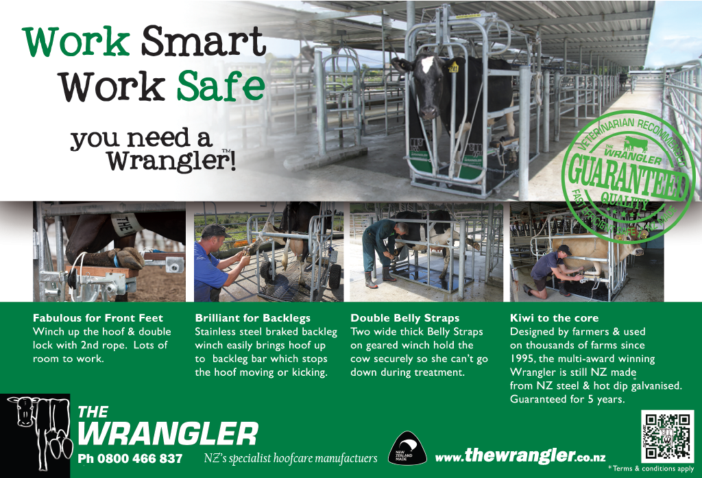 The Wrangler is a trusted New Zealand made dairy cow handling system designed for safe, efficient hoof trimming.