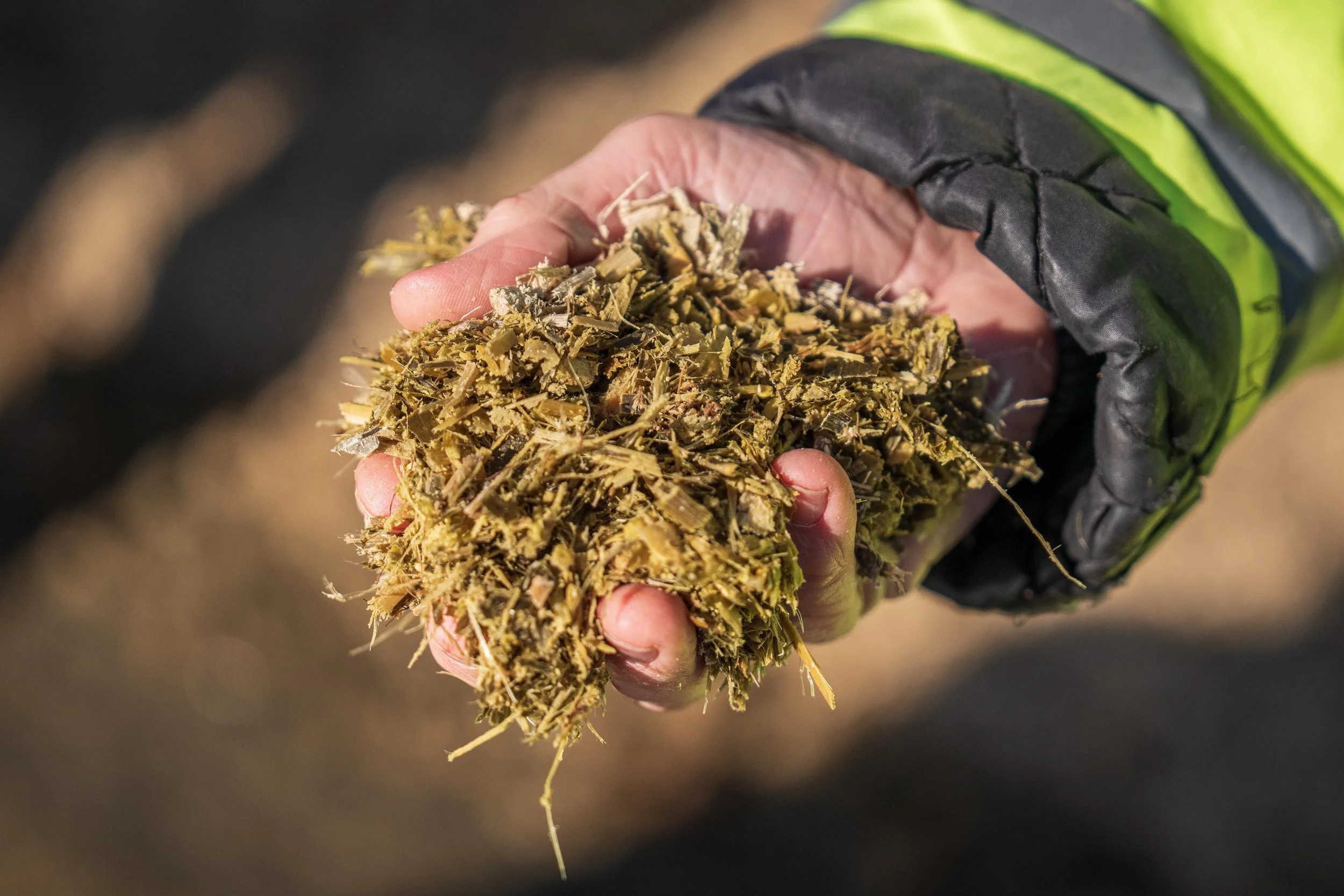 Optimising silage quality