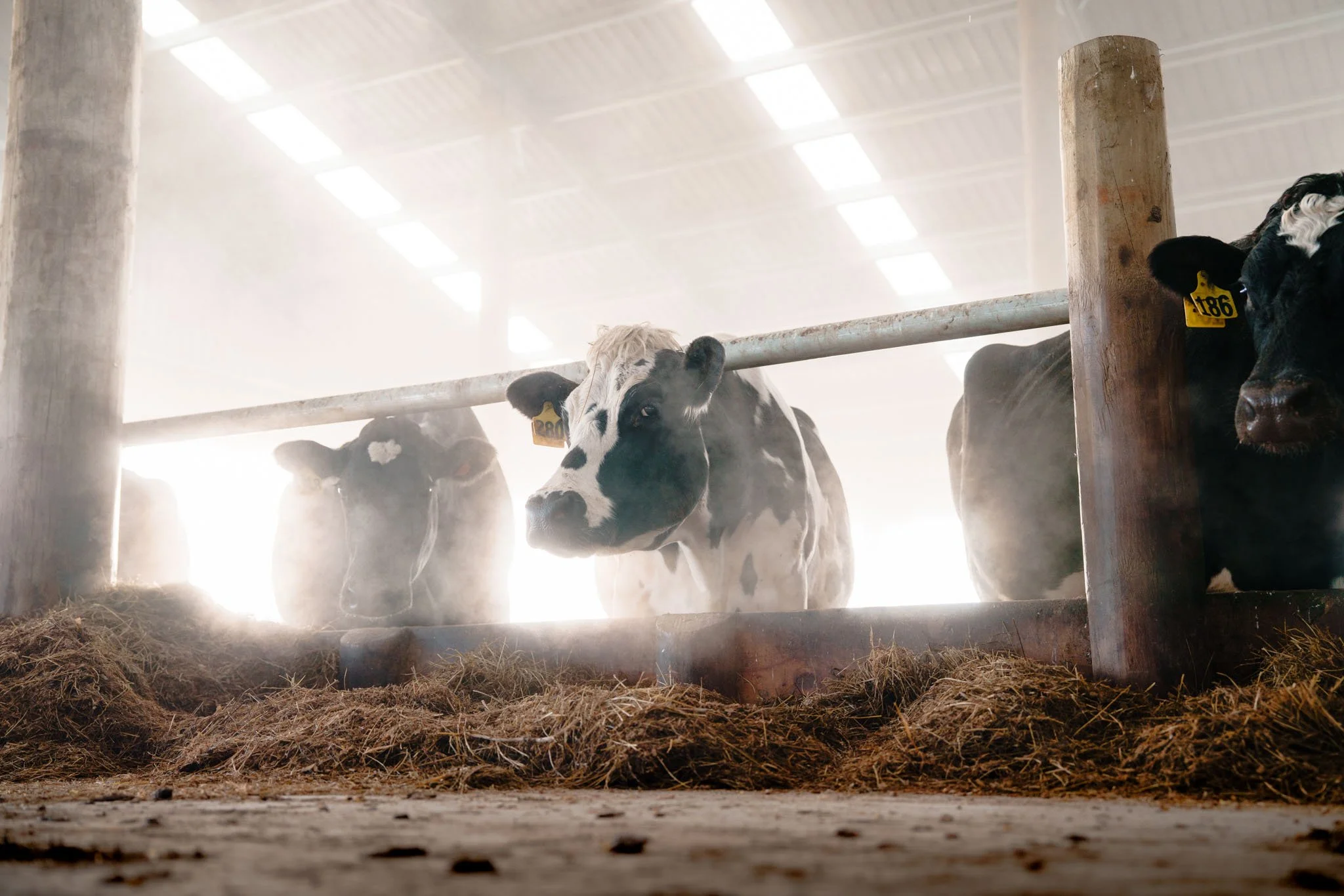 Inside the barn: Aztech Buildings takes composting barn conversations on the road