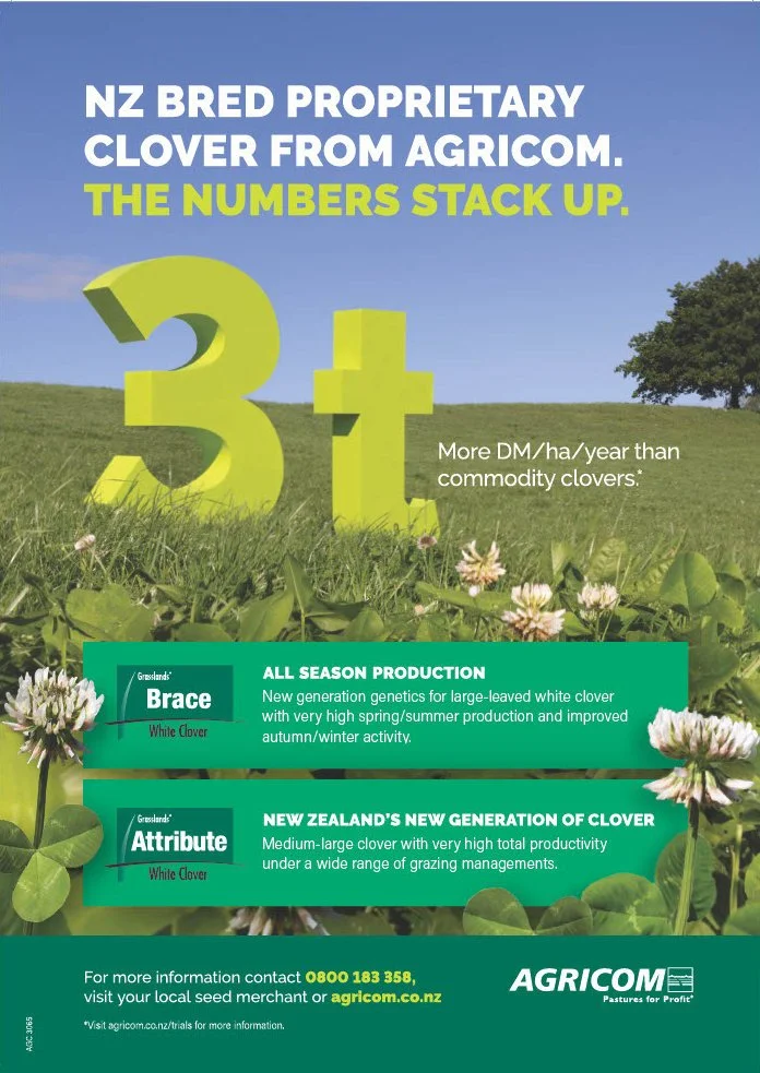 A promotional poster showcasing New Zealand bred flip products, emphasizing their premium quality and superior productivity compared to commodity clovers. The poster features large green numbers '3+' on a grassy field with a clear blue sky and a tree, highlighting the high yield of these clovers. It includes information on genetics, breeding, and contact details for more information.