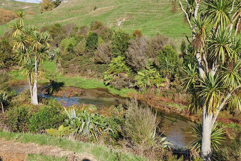 Positive freshwater results delivered by good farming practices, analysis confirms