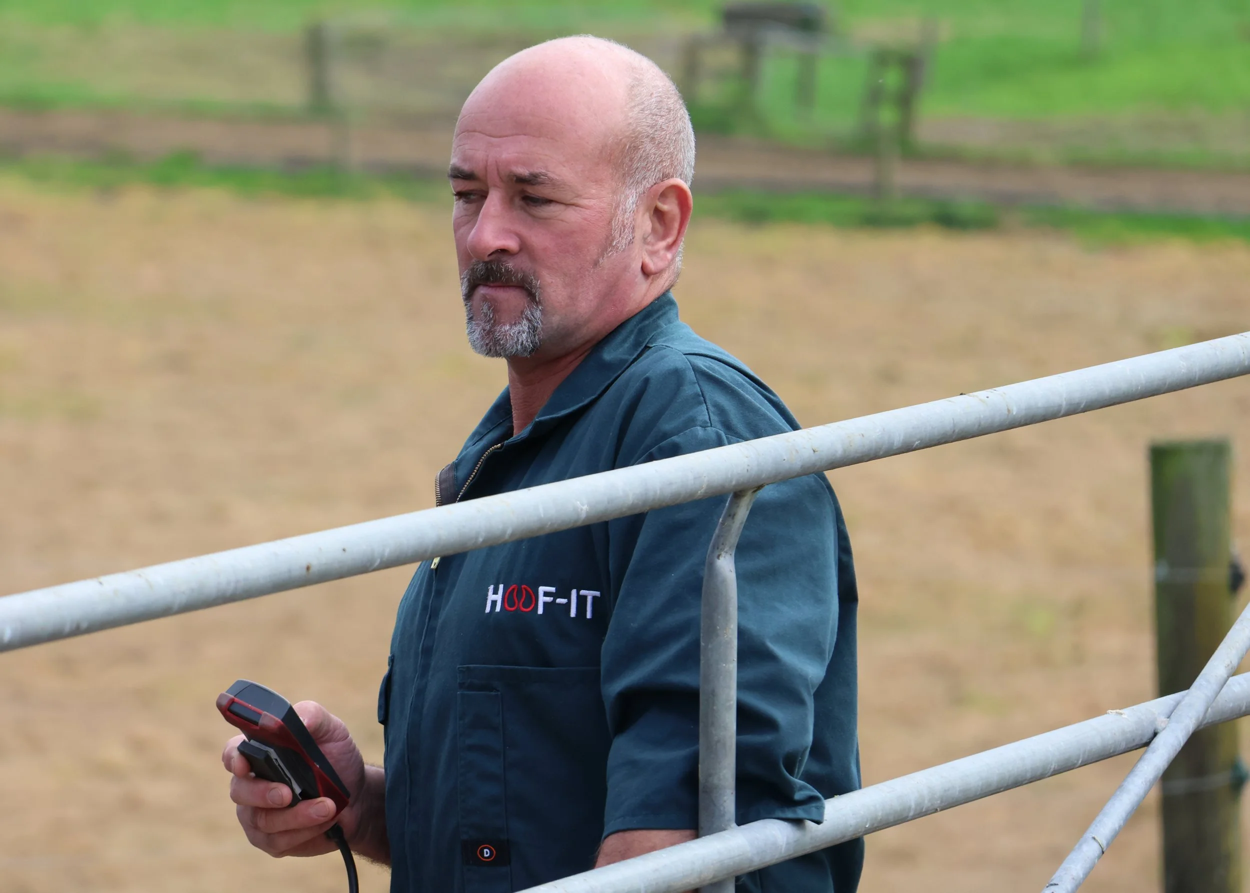 Hoof Health Done Right: Why Precision Matters in Dairy Cow Lameness