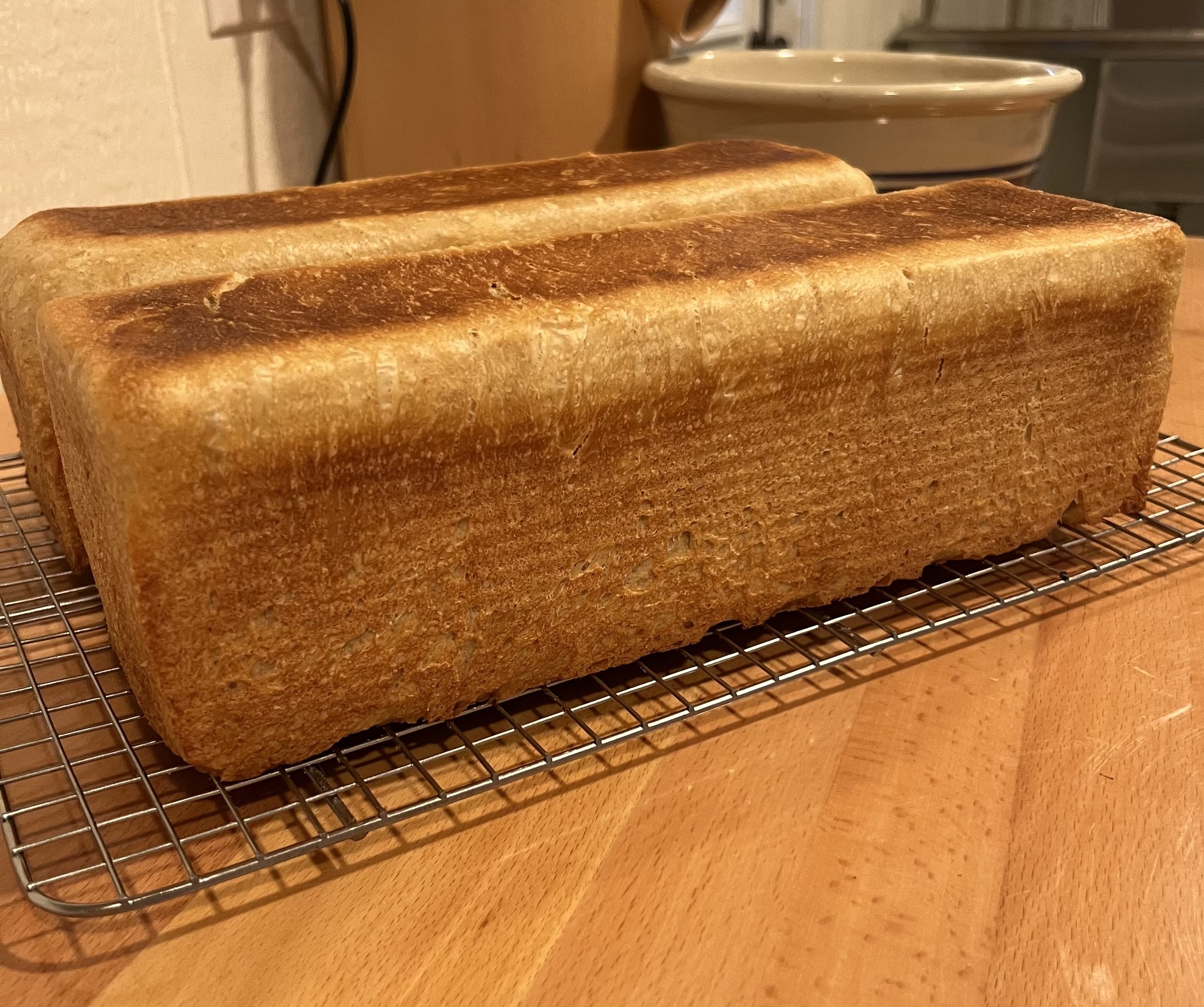 Sourdough sandwich loaf makes delicious grilled cheese sandwiches!