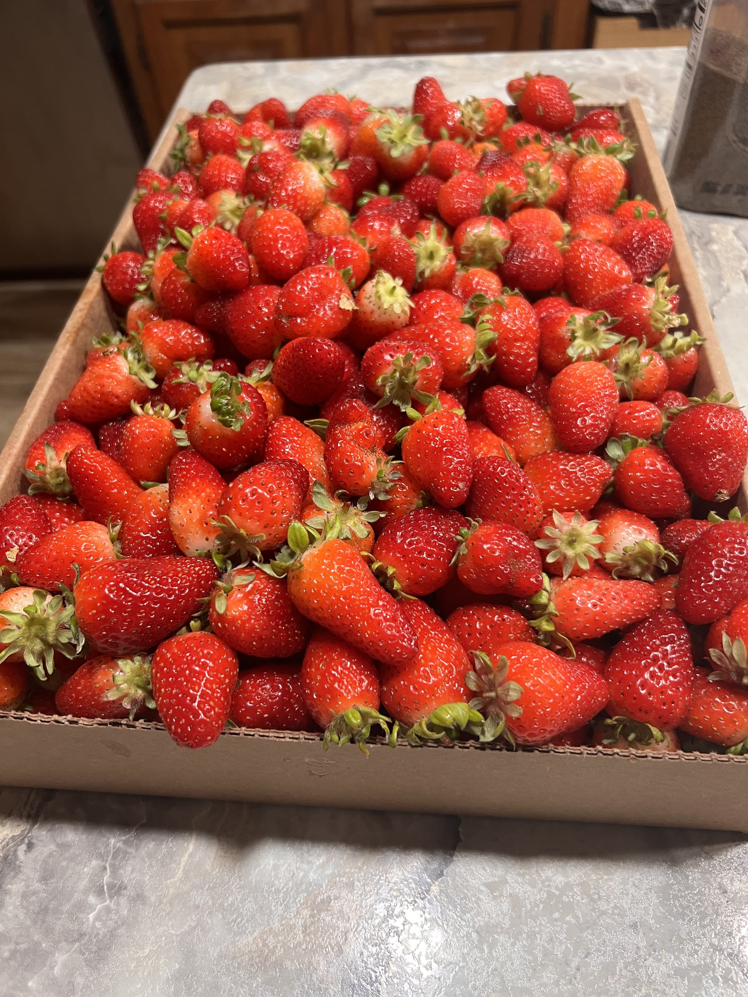 U pick strawberries!