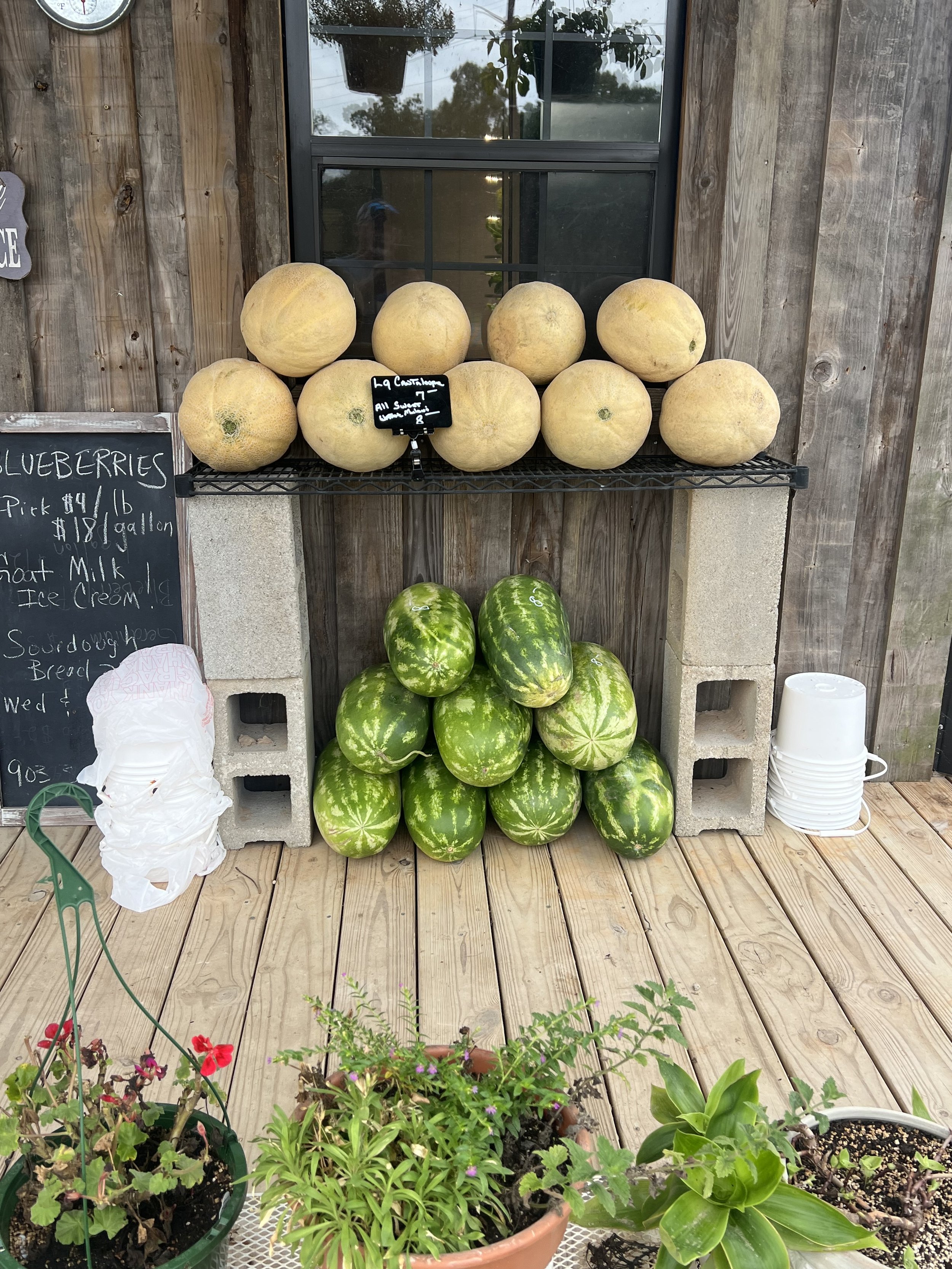We love having fresh seasonal produce.