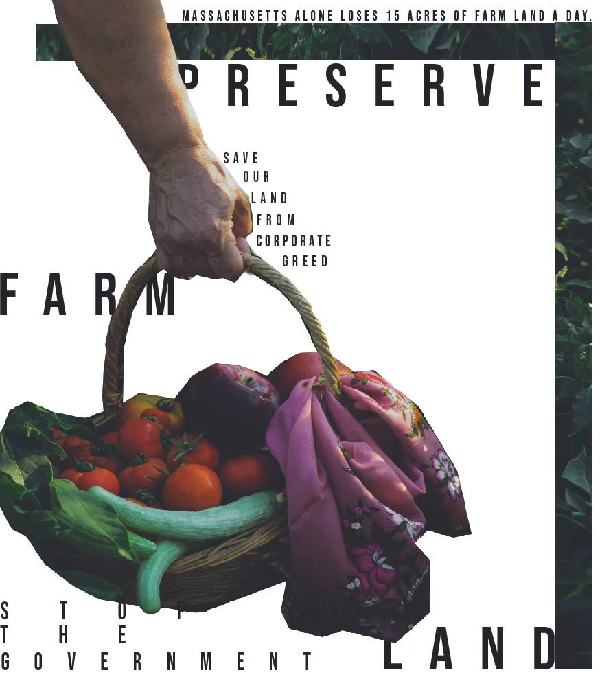 advanced graphics poster projects POSTERS EXCEPT 3 INVERSION-08.jpg