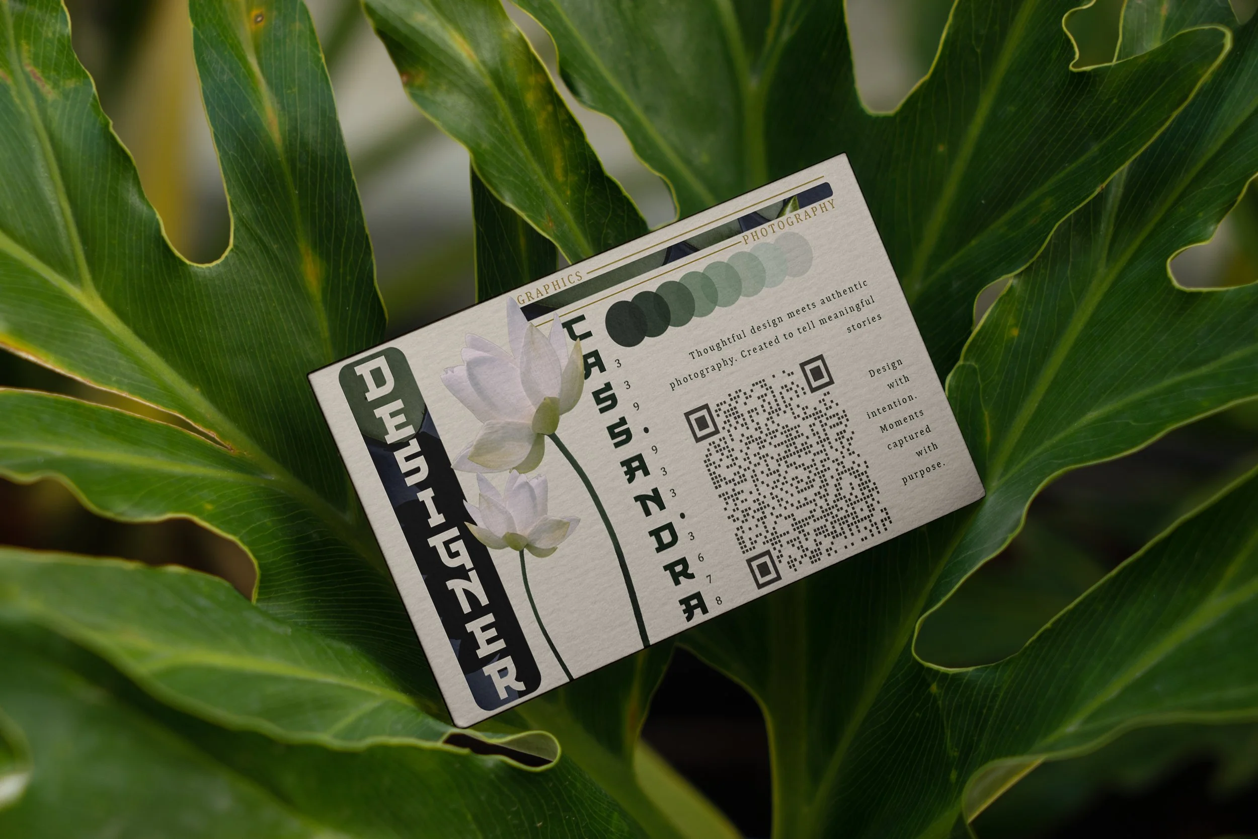 more plant.jpg