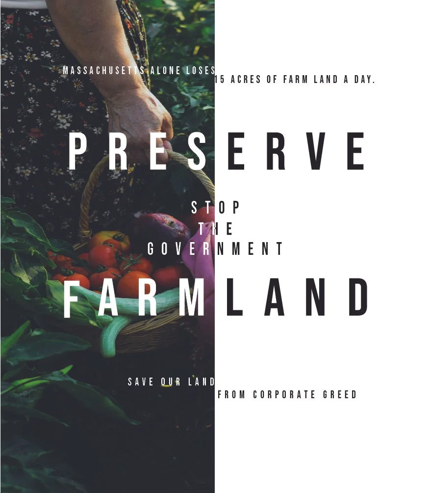 advanced graphics poster projects POSTERS EXCEPT 3 INVERSION-07.jpg