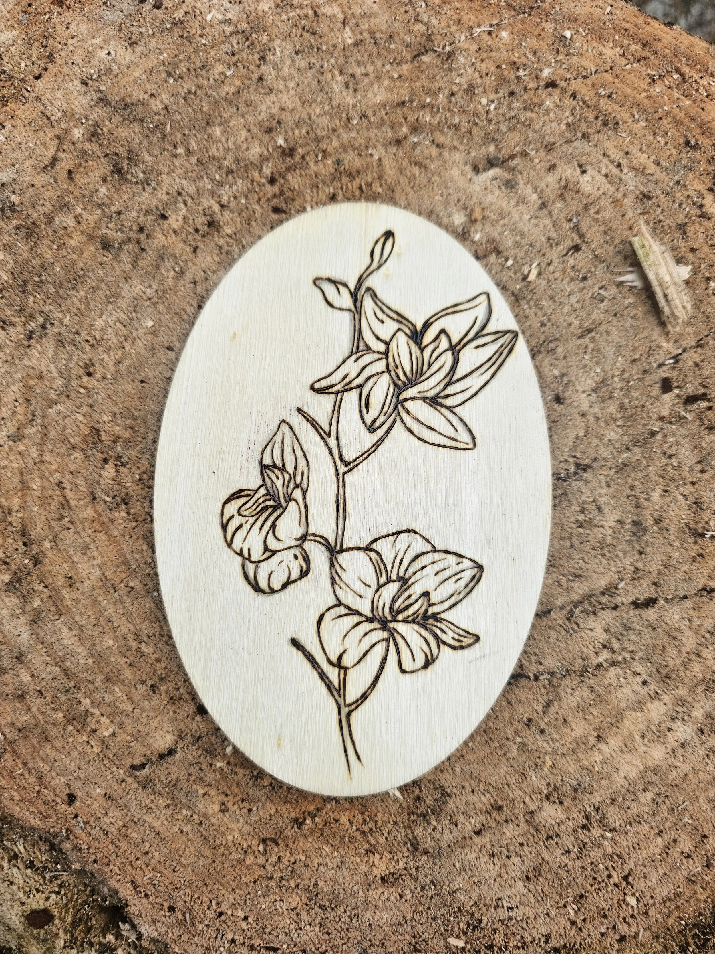 Orchid wood-burning