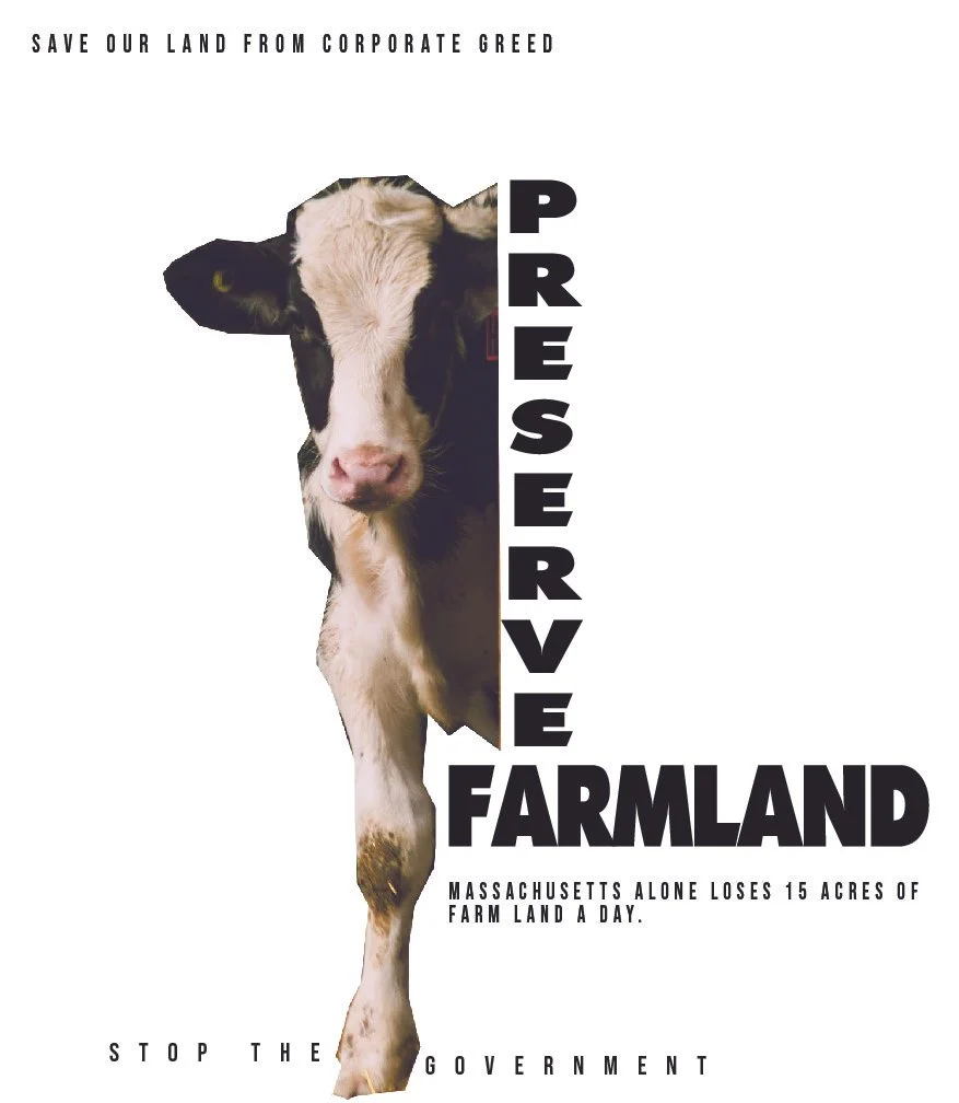 advanced graphics poster projects POSTERS EXCEPT 3 INVERSION-16.jpg