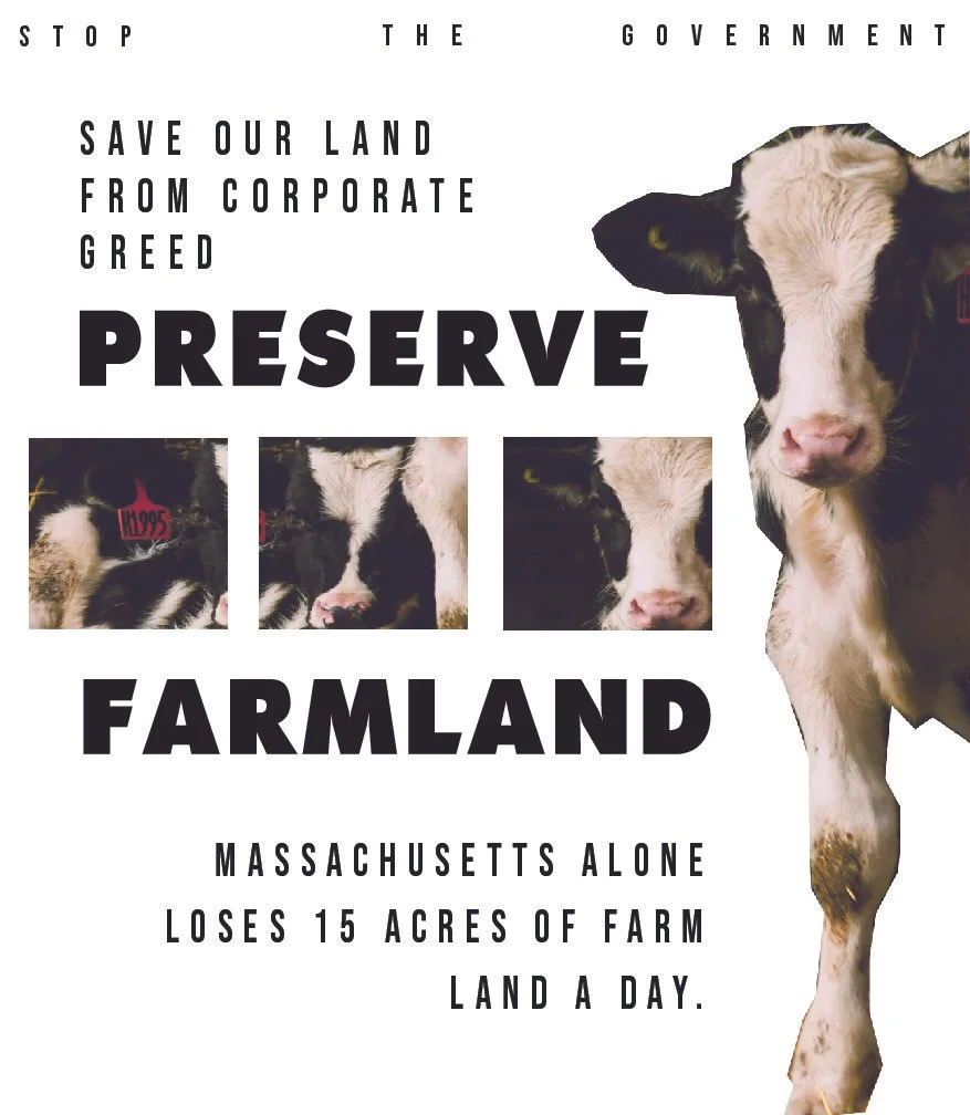 advanced graphics poster projects POSTERS EXCEPT 3 INVERSION-18.jpg