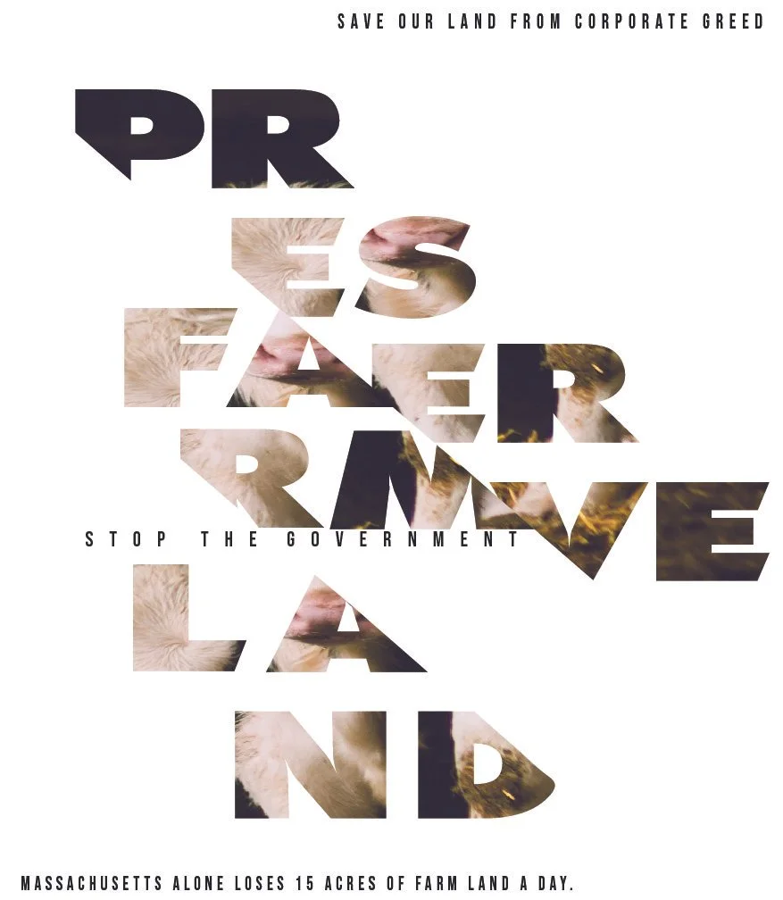 advanced graphics poster projects POSTERS EXCEPT 3 INVERSION-17.jpg