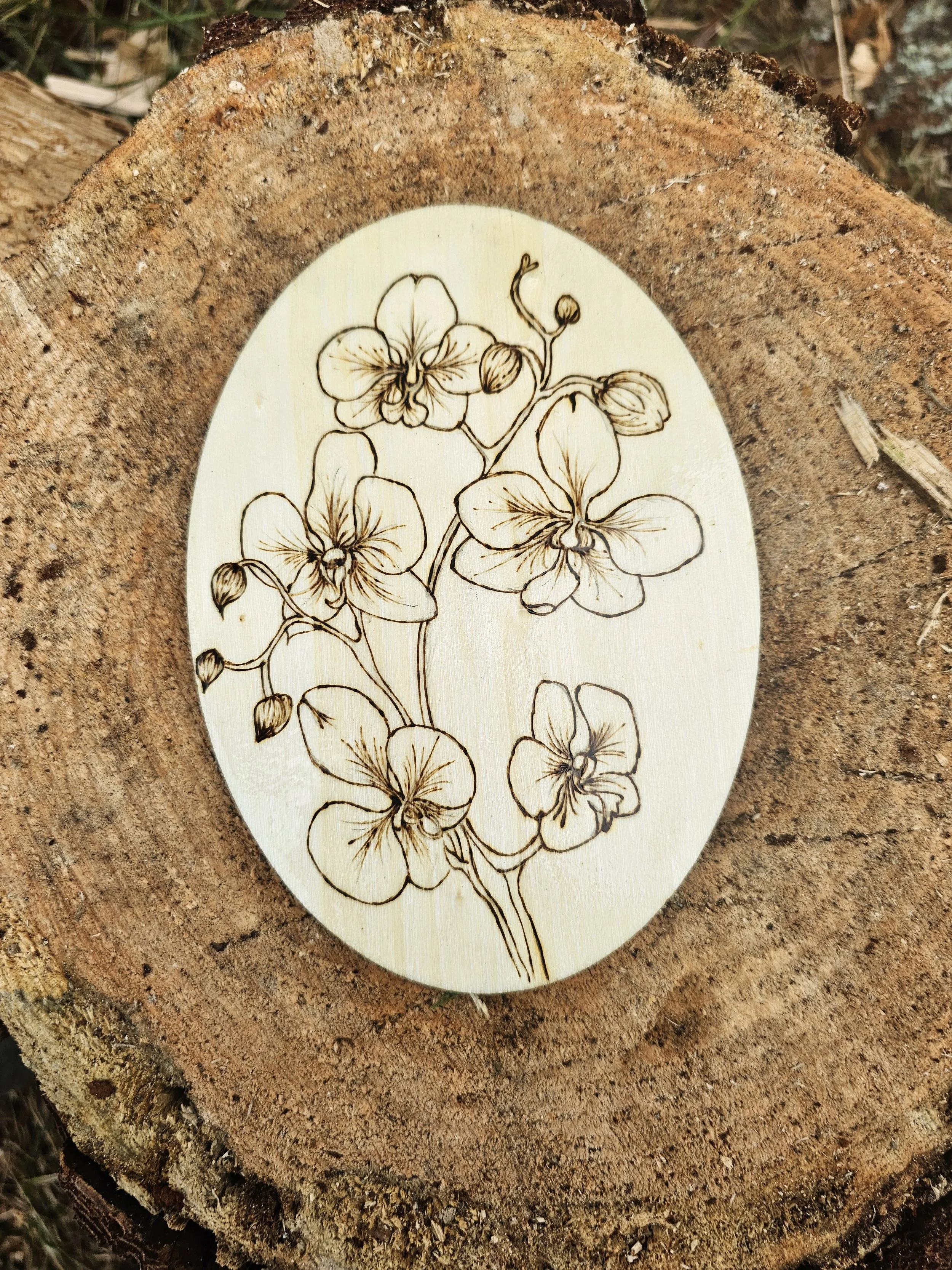 Orchid wood-burning