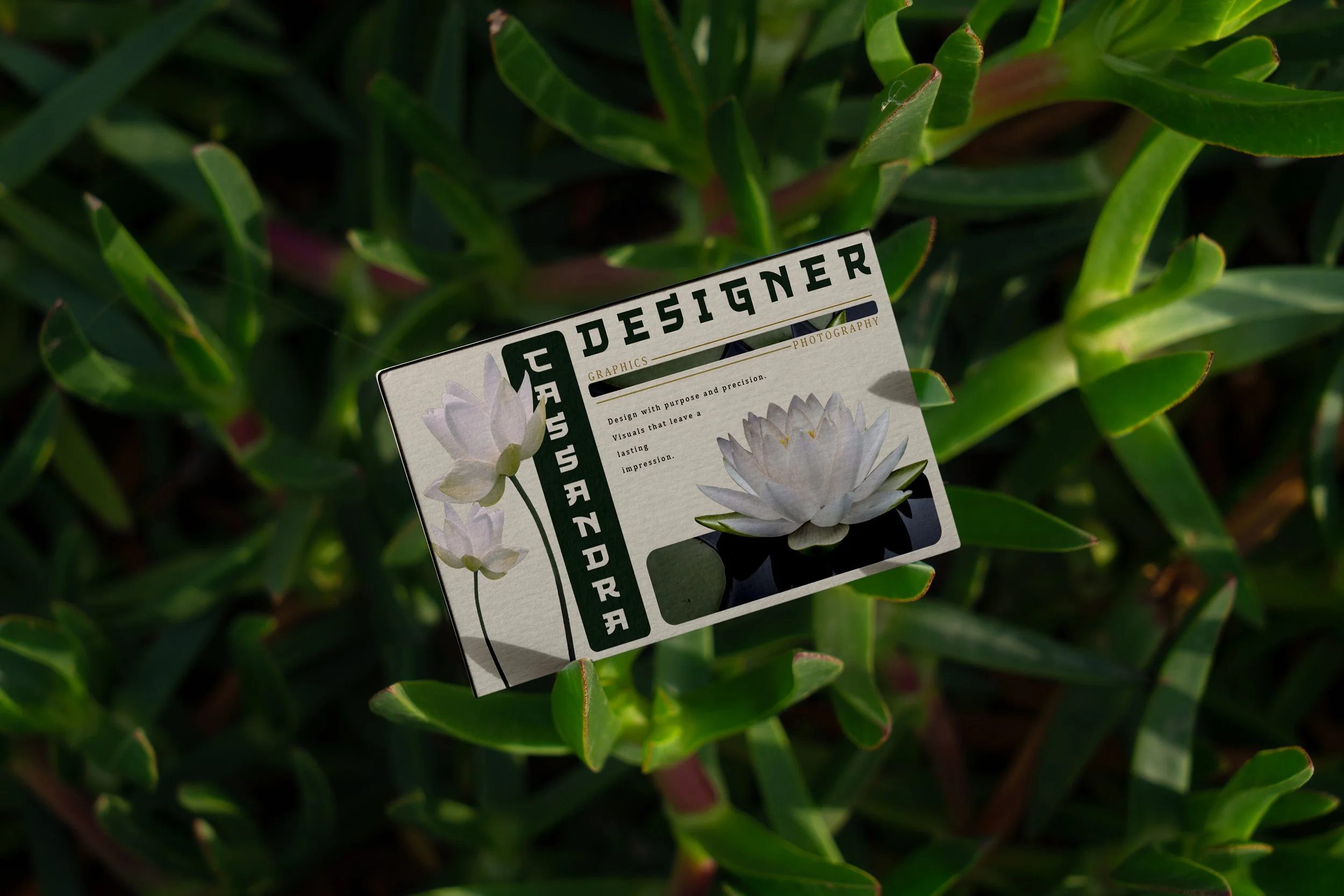 succulent.jpg