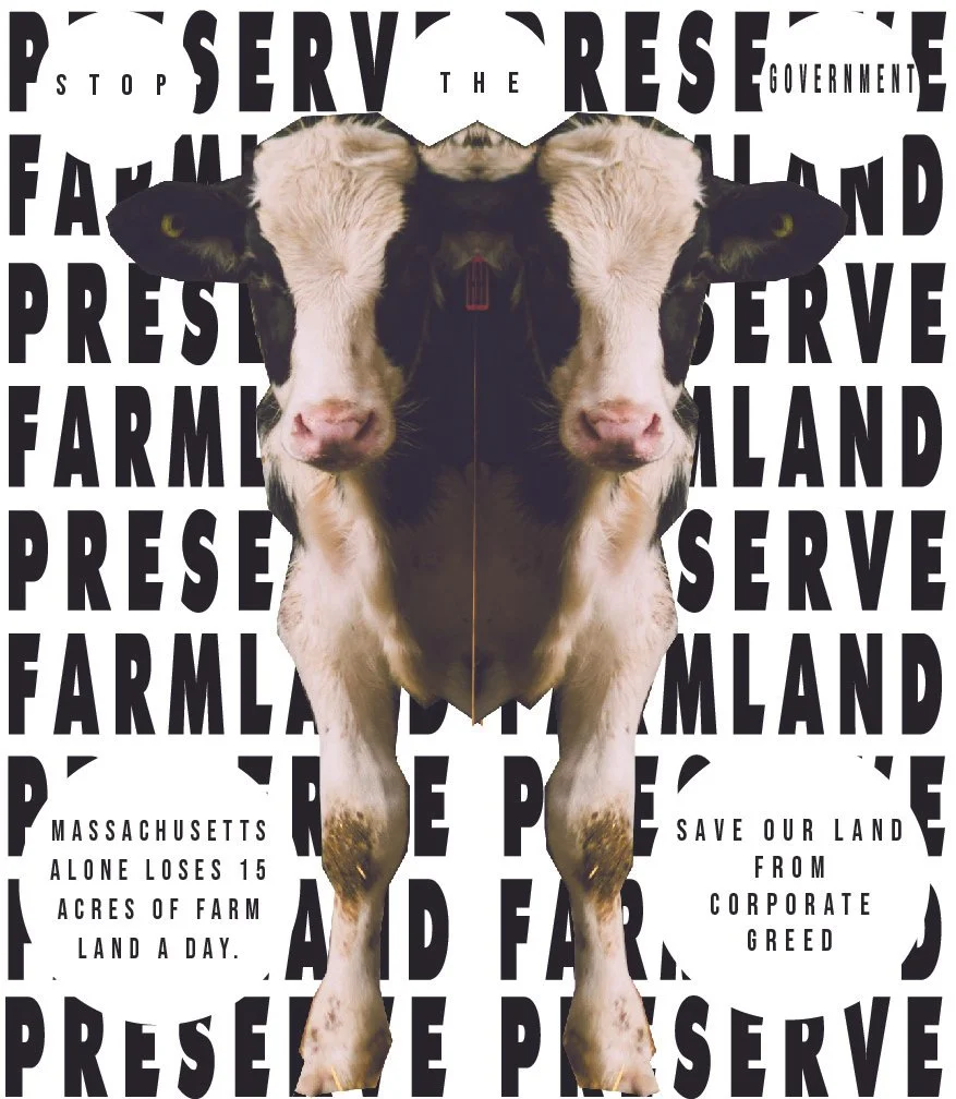 advanced graphics poster projects POSTERS EXCEPT 3 INVERSION-19.jpg