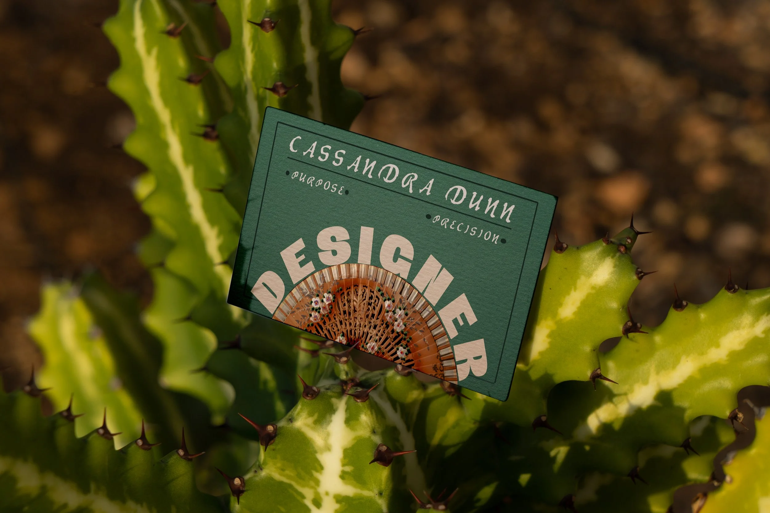 cactus.jpg