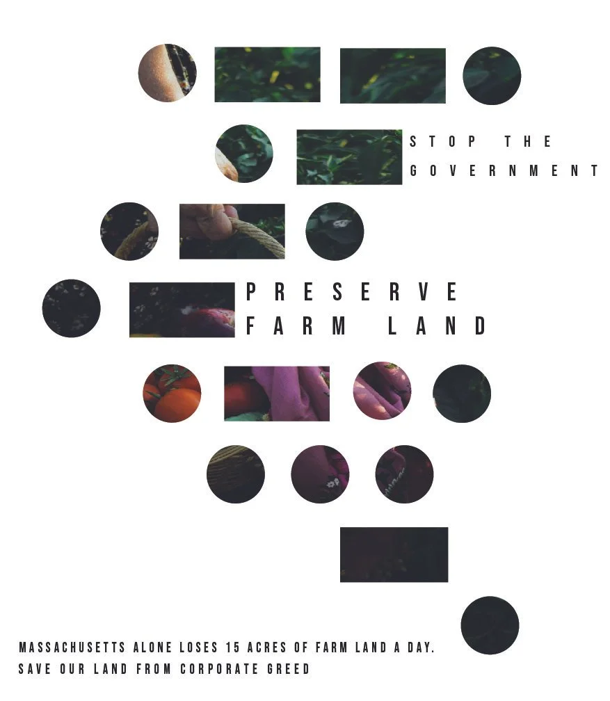 advanced graphics poster projects POSTERS EXCEPT 3 INVERSION-05.jpg