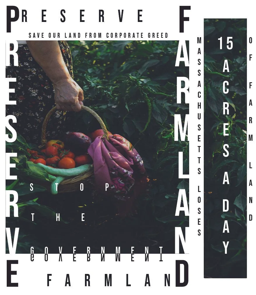 advanced graphics poster projects POSTERS EXCEPT 3 INVERSION-09.jpg