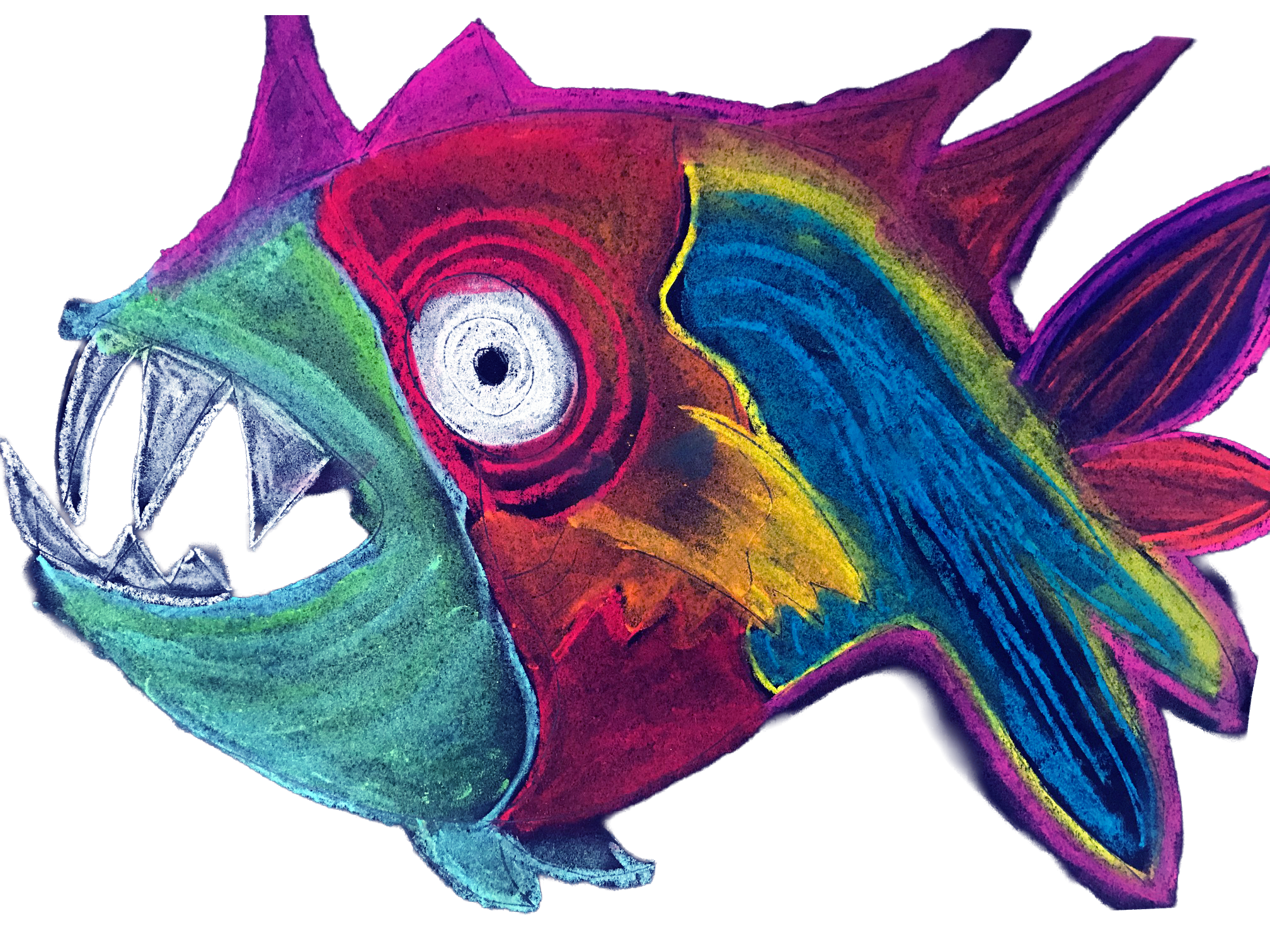 IMG_9796.png