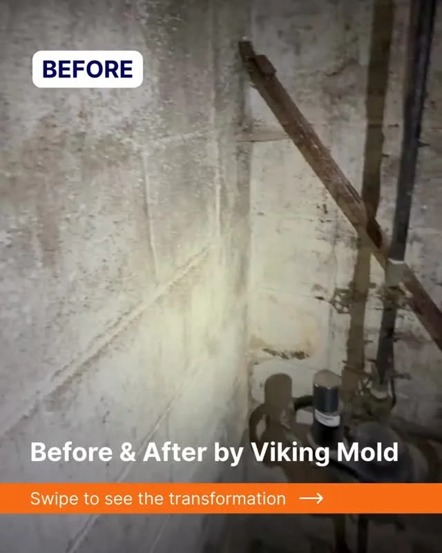Before ➡️ After
A clean, safe basement wall restored the right way.

#VikingMold #BasementRemediation #MilwaukeeHomes #BeforeAndAfterTransformation