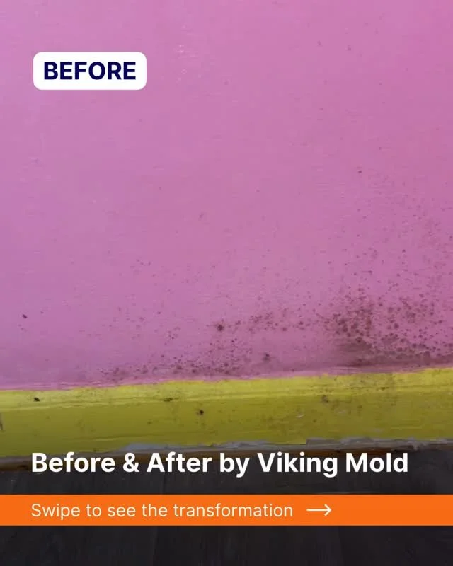 This bedroom wall had visible microbial growth, but with proper treatment and prep, it&rsquo;s now clean, safe, and inspection‑ready.

#MoldExperts #MilwaukeeHomes #BeforeAndAfter#VikingMold #MilwaukeeRealtors #HomeReady #BeforeAndAfter