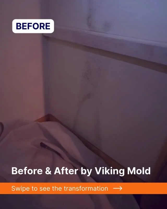 Before &amp; After: Closet Mold Removal 
What you&rsquo;re seeing here is the difference professional treatment makes.

The first clip shows active microbial growth spreading across a closet wall, something that can move fast, hide deep, and impact b