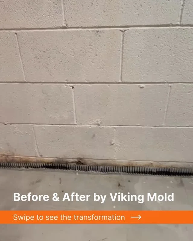 A full basement transformation from start to finish. Swipe through to see how Viking Mold restores, protects, and elevates foundation walls.

Before: Active mold growth on a porous foundation wall. A common issue in basements where moisture and tempe