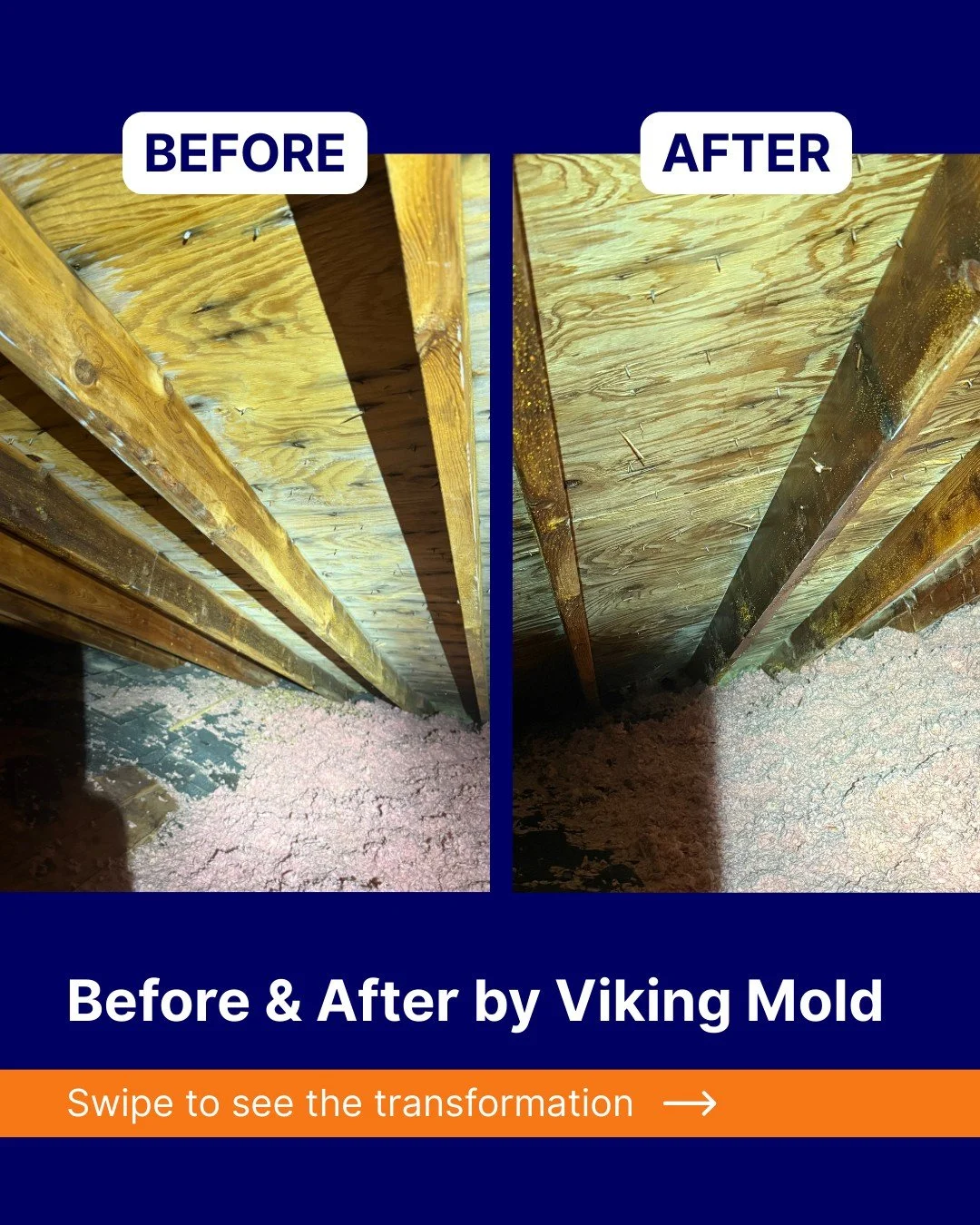 This attic had active microbial growth, including white mold, a type that bonds tightly to wood and is best removed through detailed hand‑scrubbing.

After treatment, the surfaces are clean, treated, and safe for the home again.

#MoldRemediation #Mo