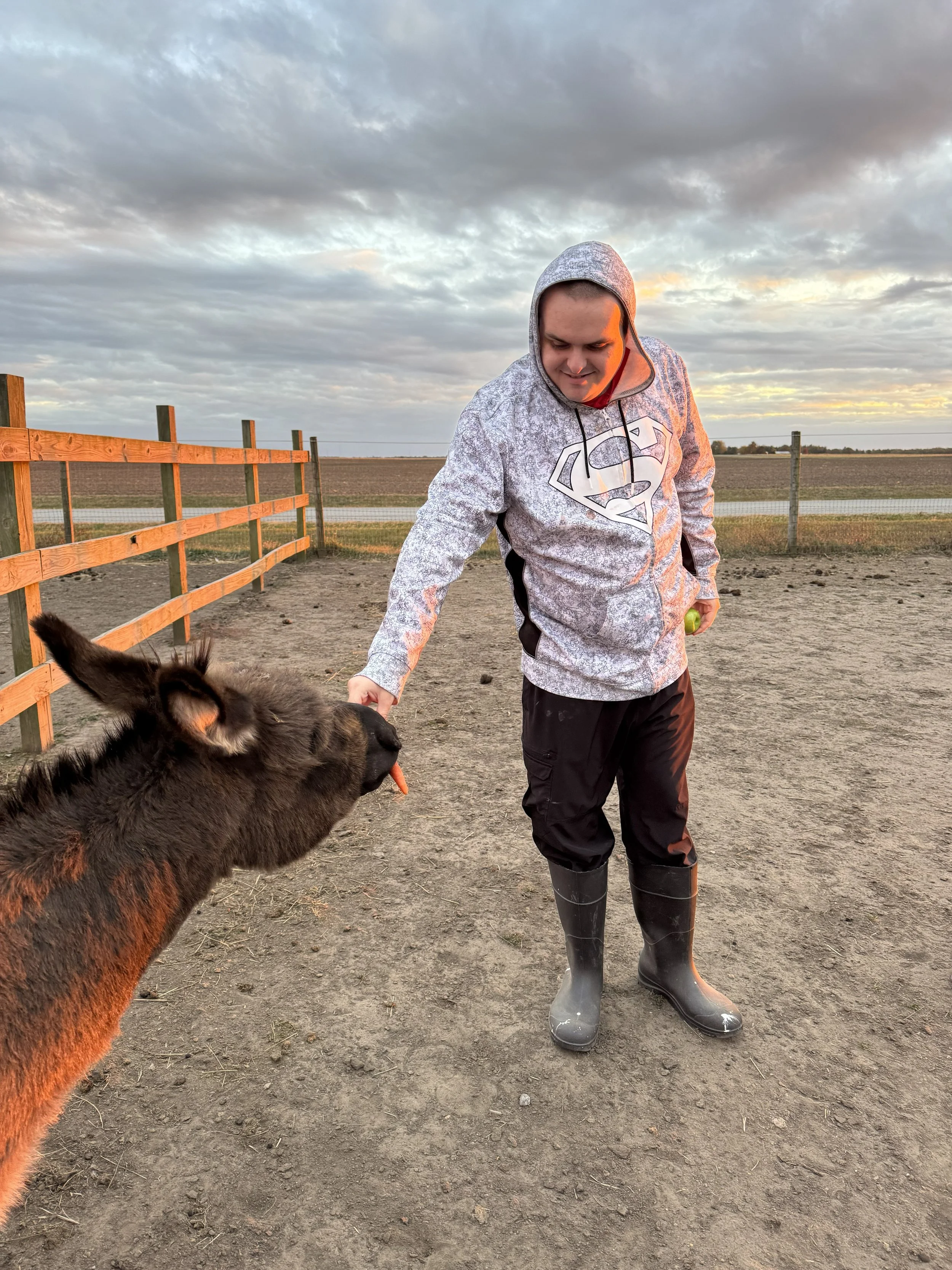 Jack participating in farm chores by helping feed a donkey, gaining hands-on experience caring for animals.