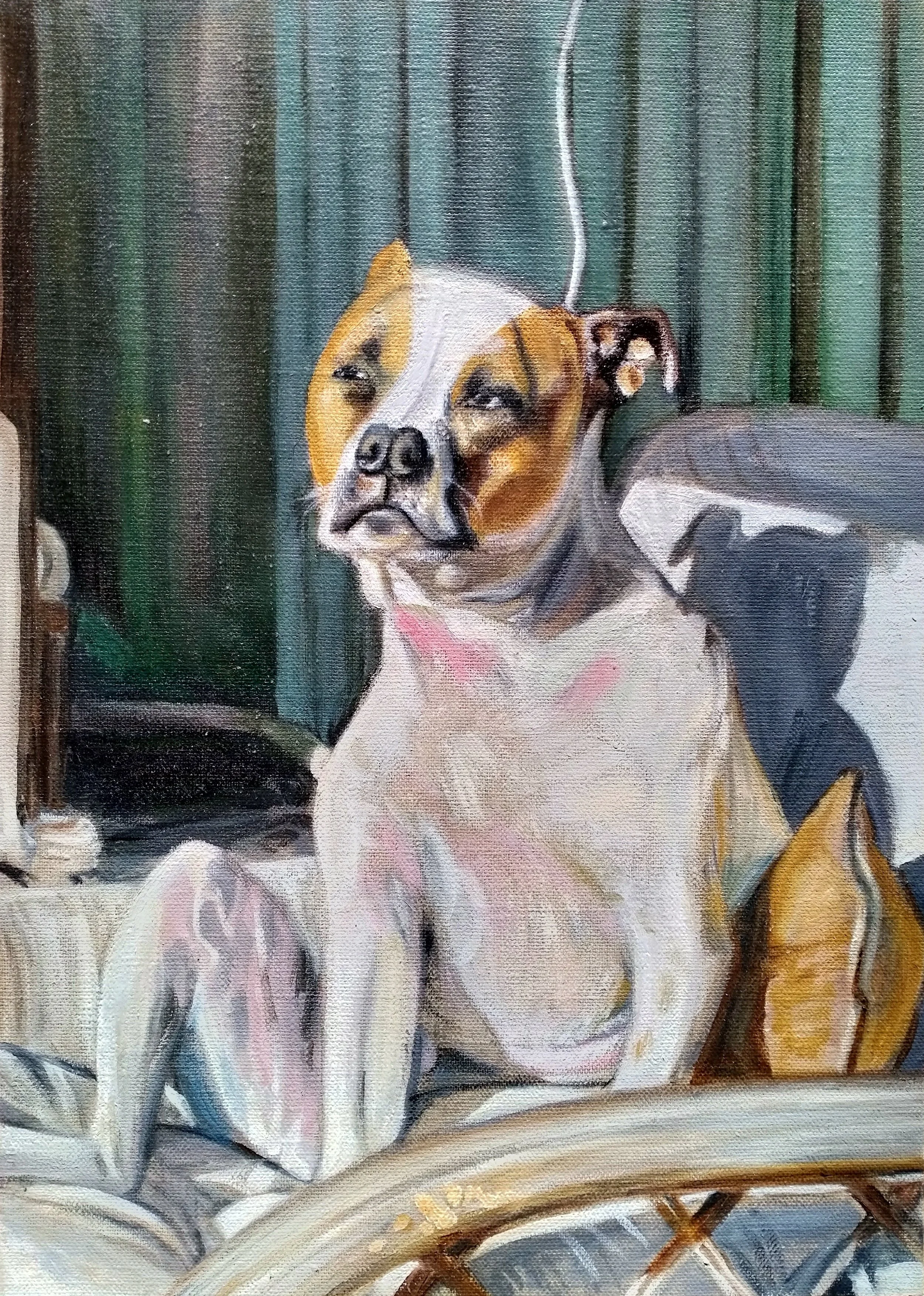 Final stages painting Hank the staffie, before adding a wooden frame.