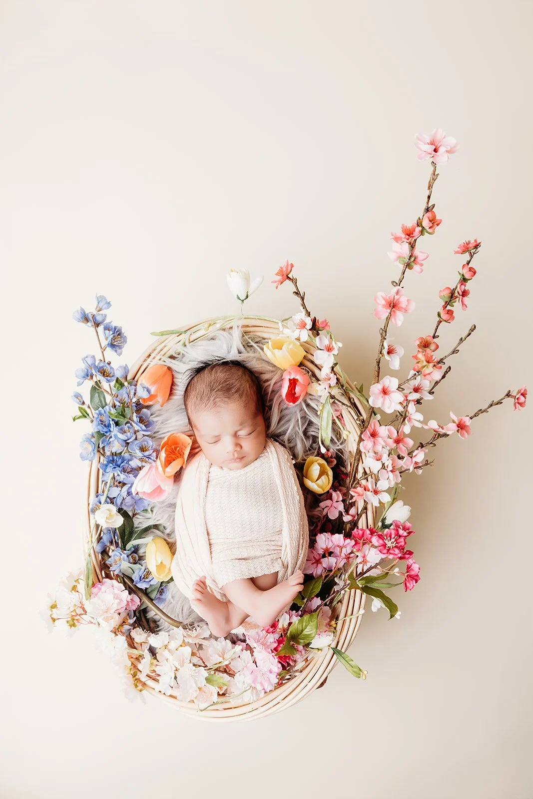 Newborn Photography gallery image 3
