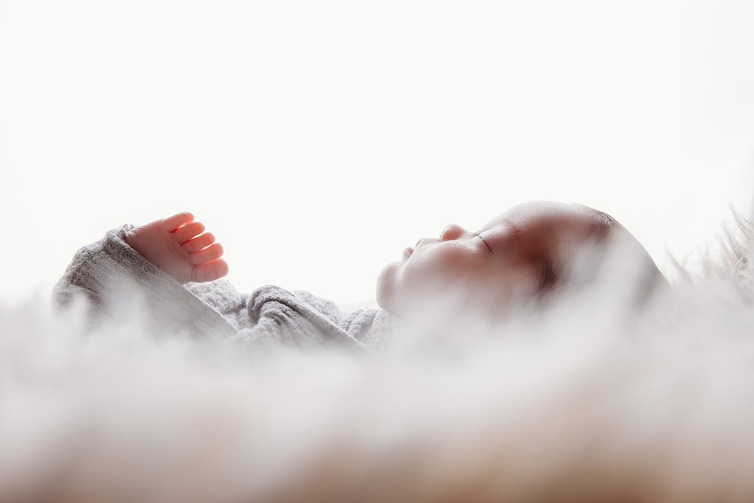 Newborn Photography gallery image 8