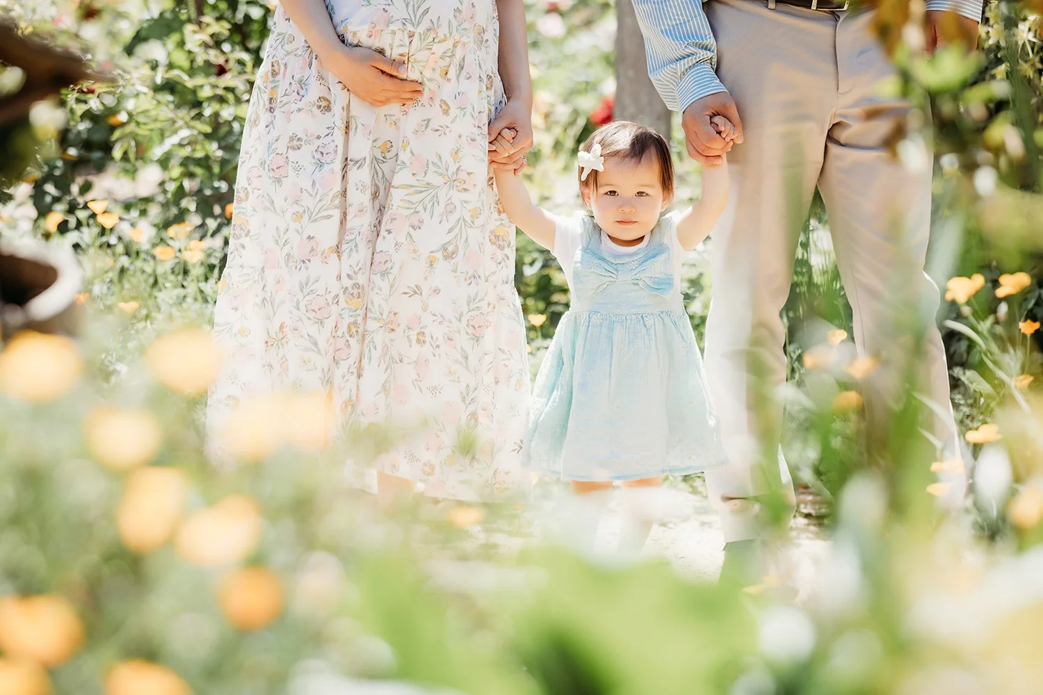 Family Photography gallery image 9