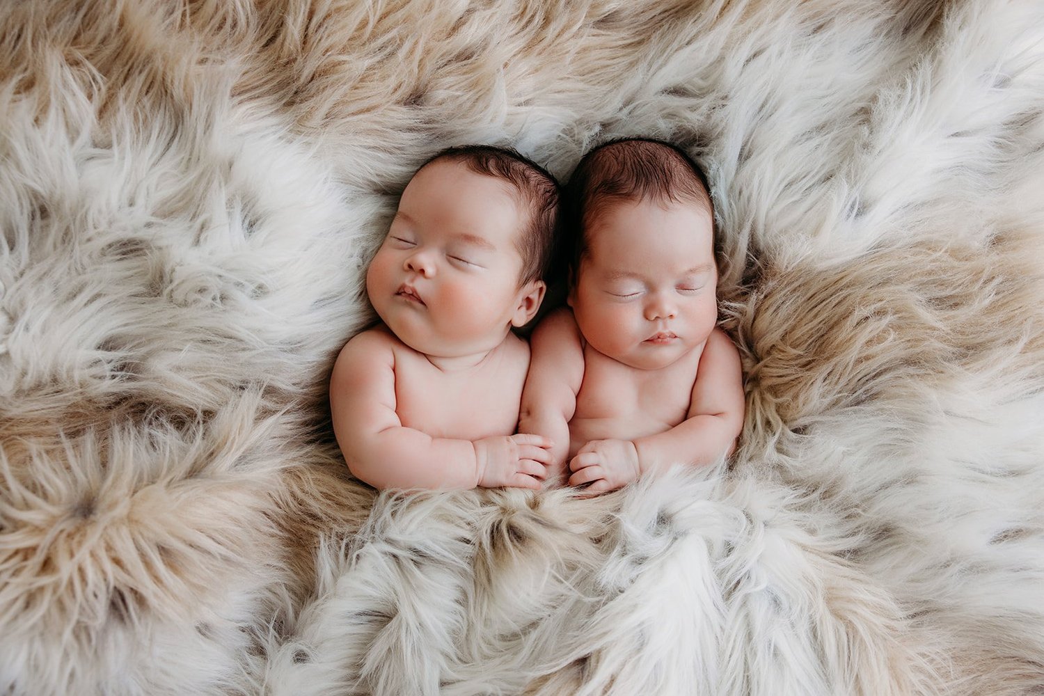 Newborn Photography gallery image 1