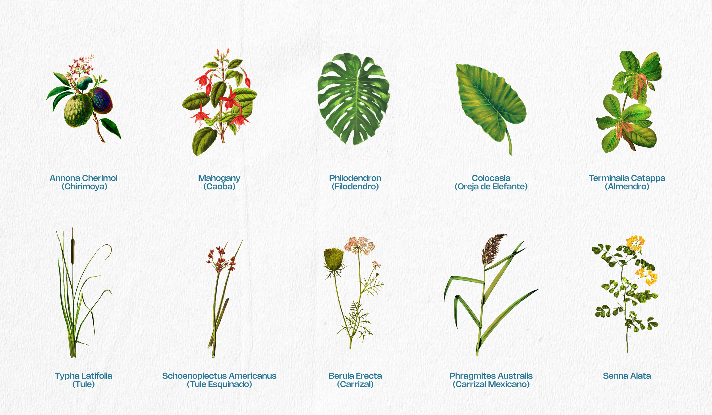 Captura de pantalla 2026-02-08 a las 20.41.44.png