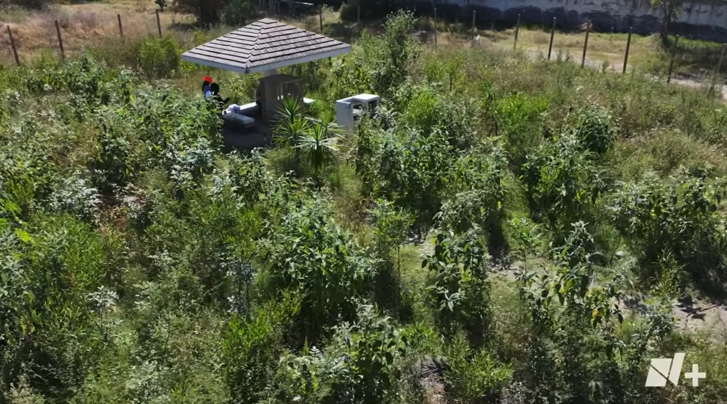 Captura de pantalla 2026-02-08 a las 18.31.29.png